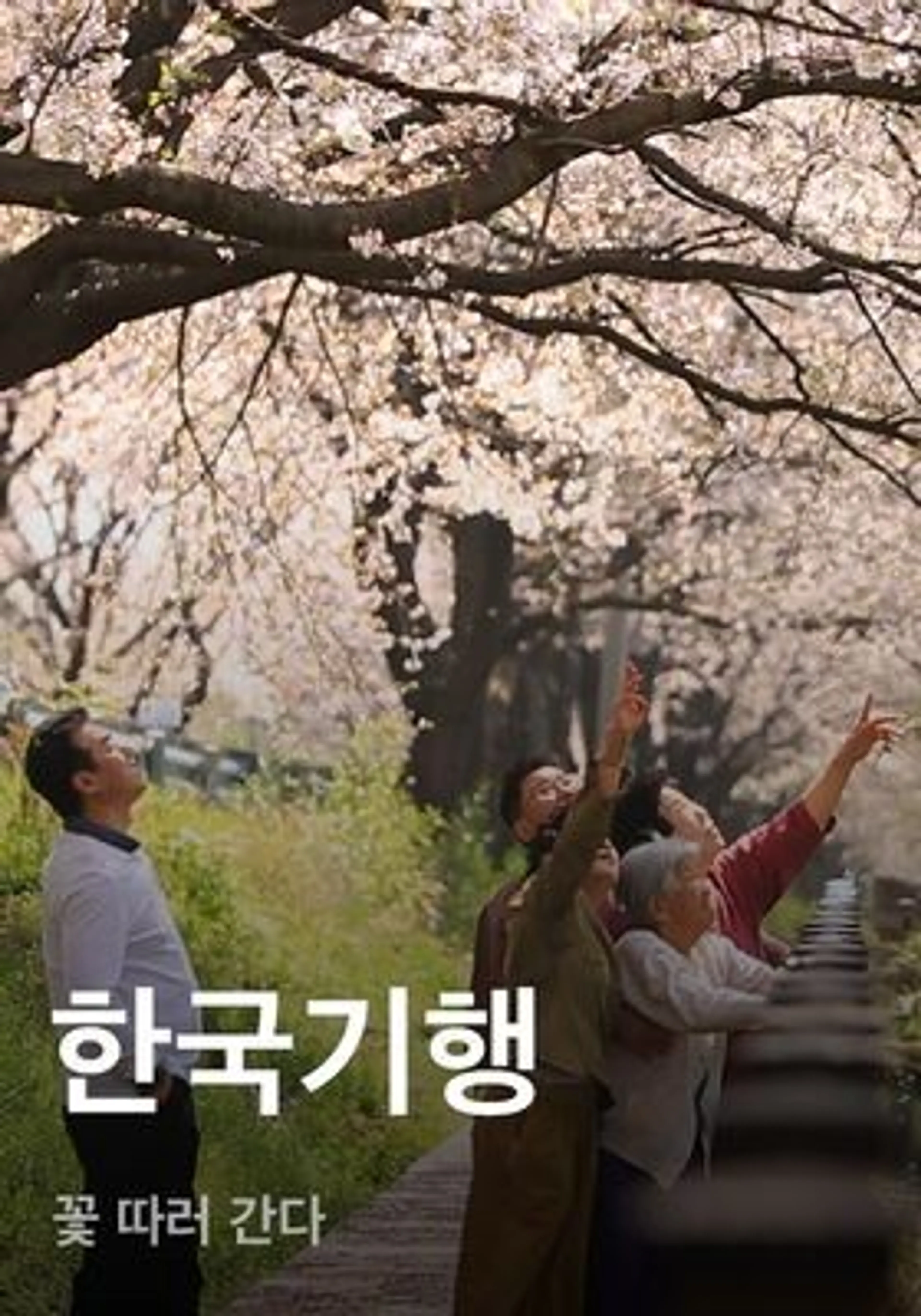 한국기행 - 꽃 따러 간다