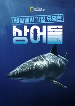 세상에서 가장 유명한 상어들