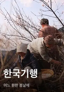 한국기행 - 어느 환한 봄날에