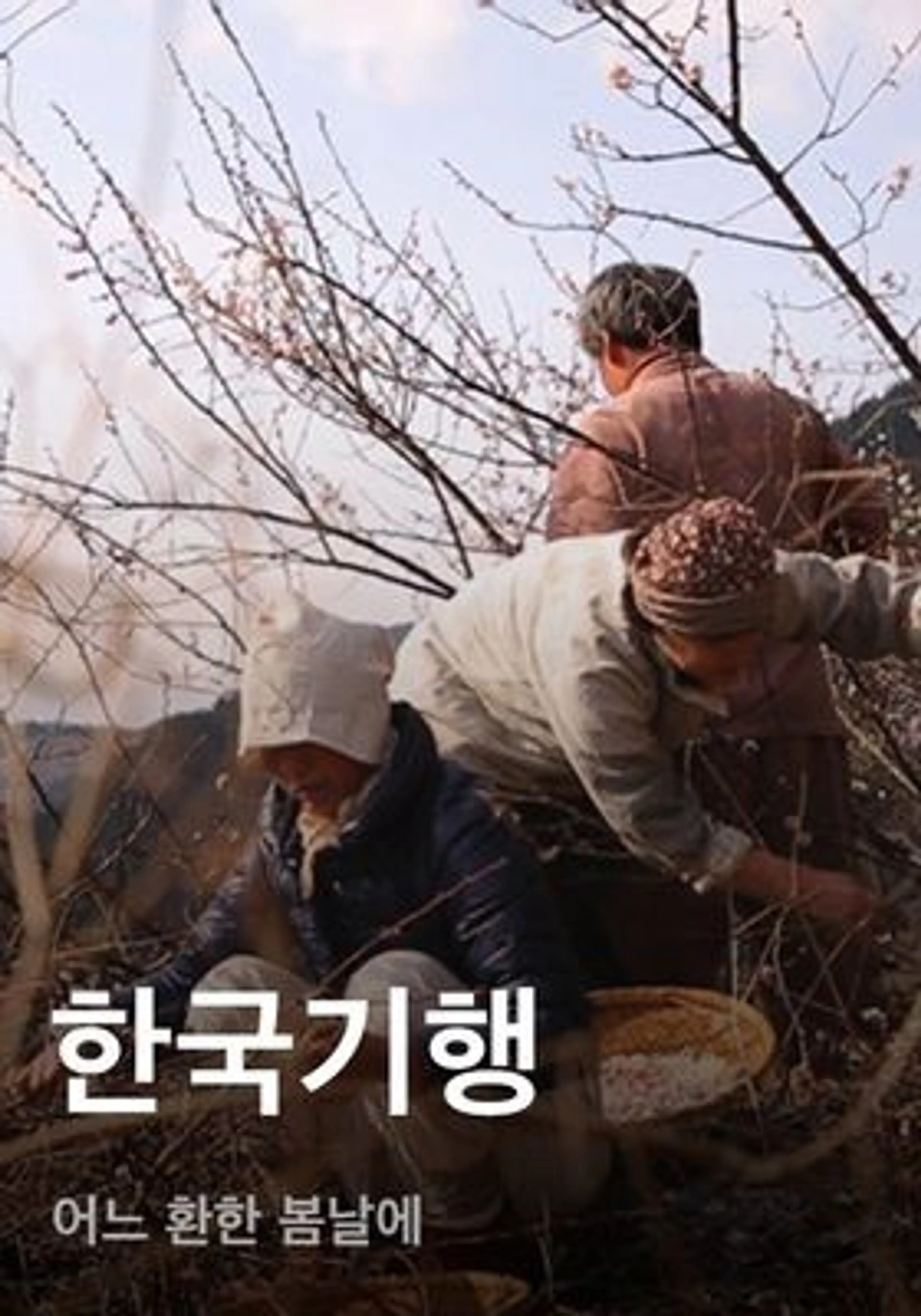한국기행 - 어느 환한 봄날에