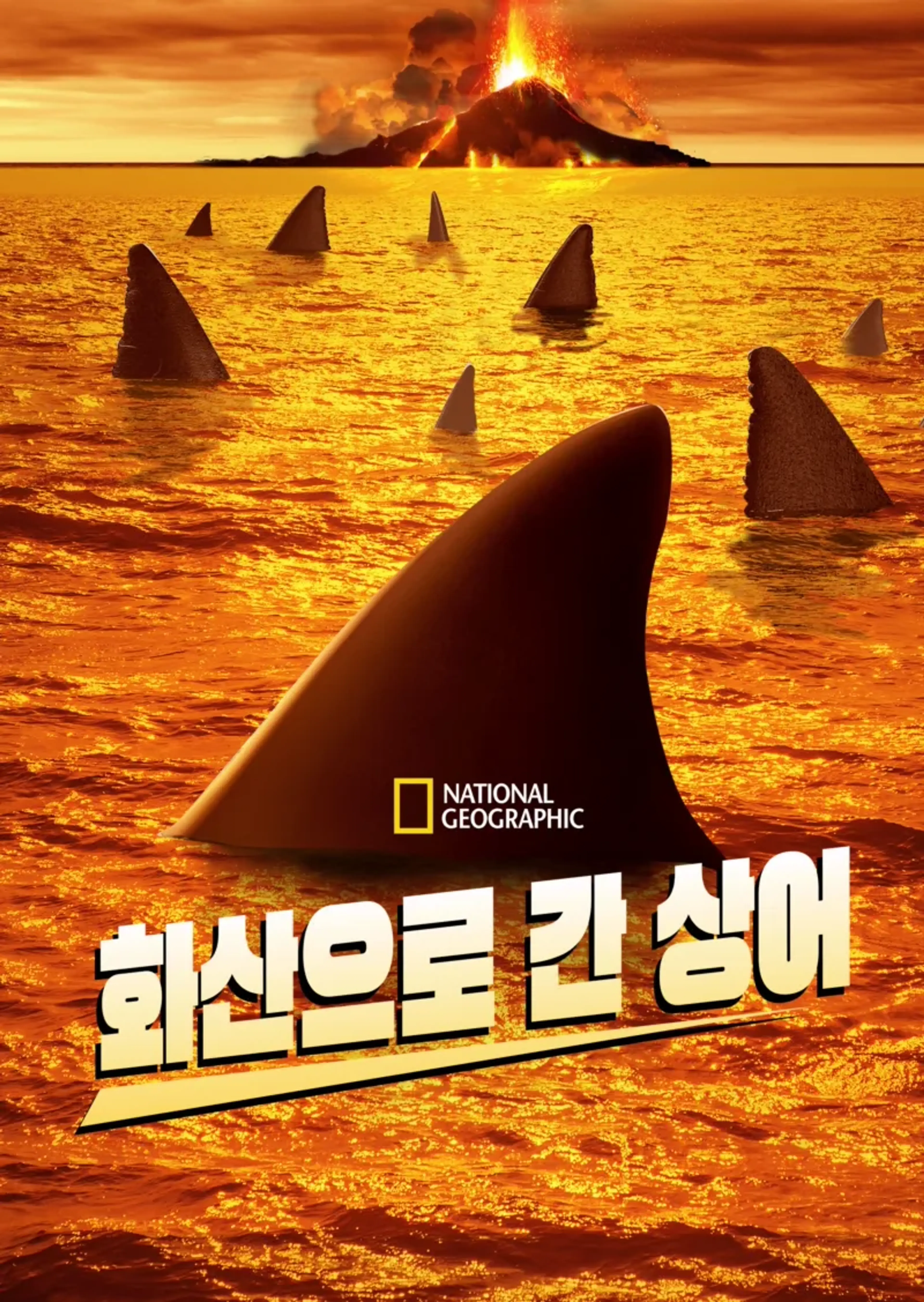 화산으로 간 상어
