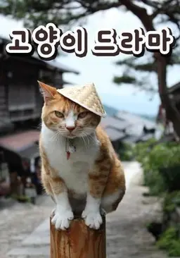 캣TV 시즌 2 - 고양이 드라마