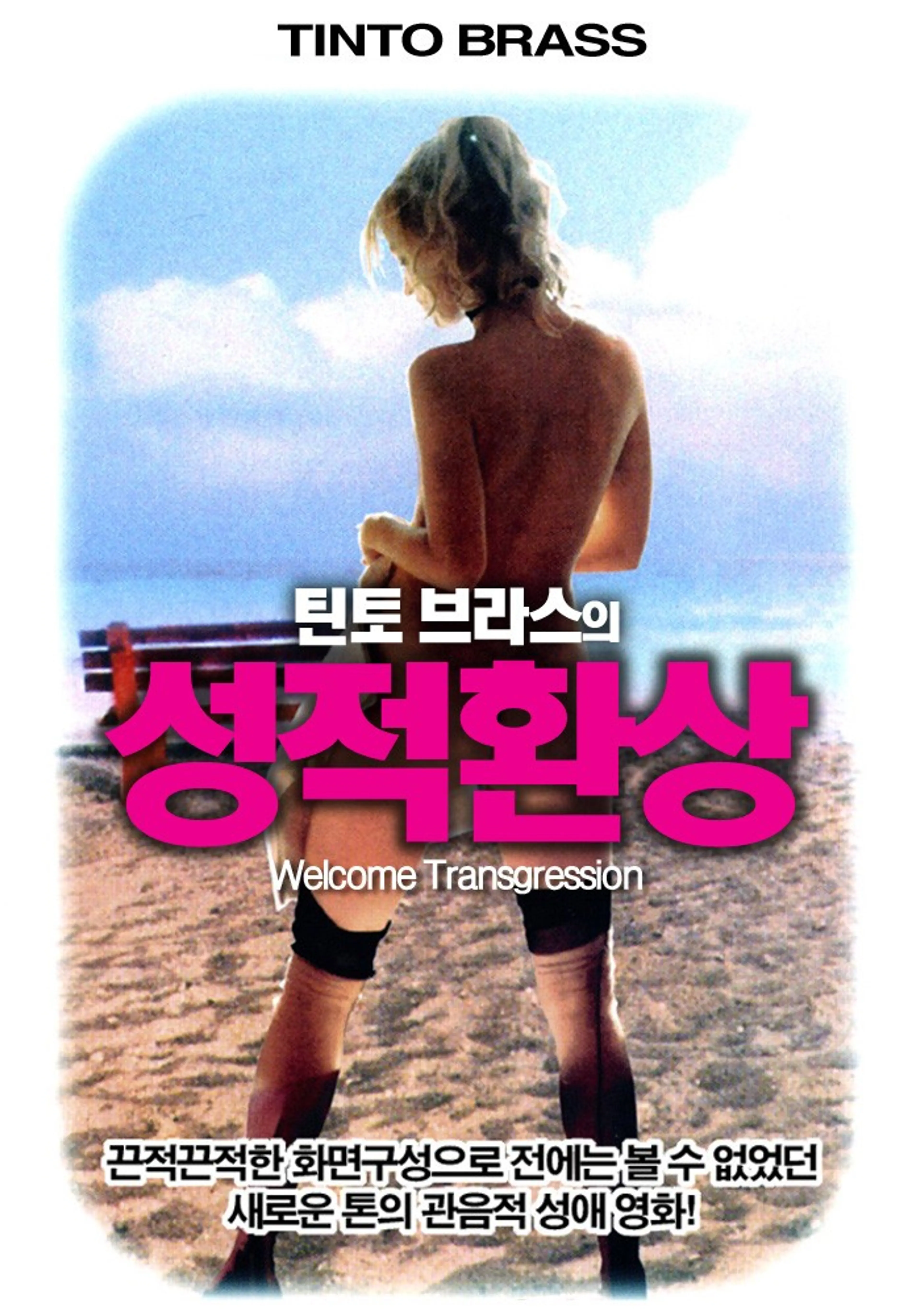 성적 환상