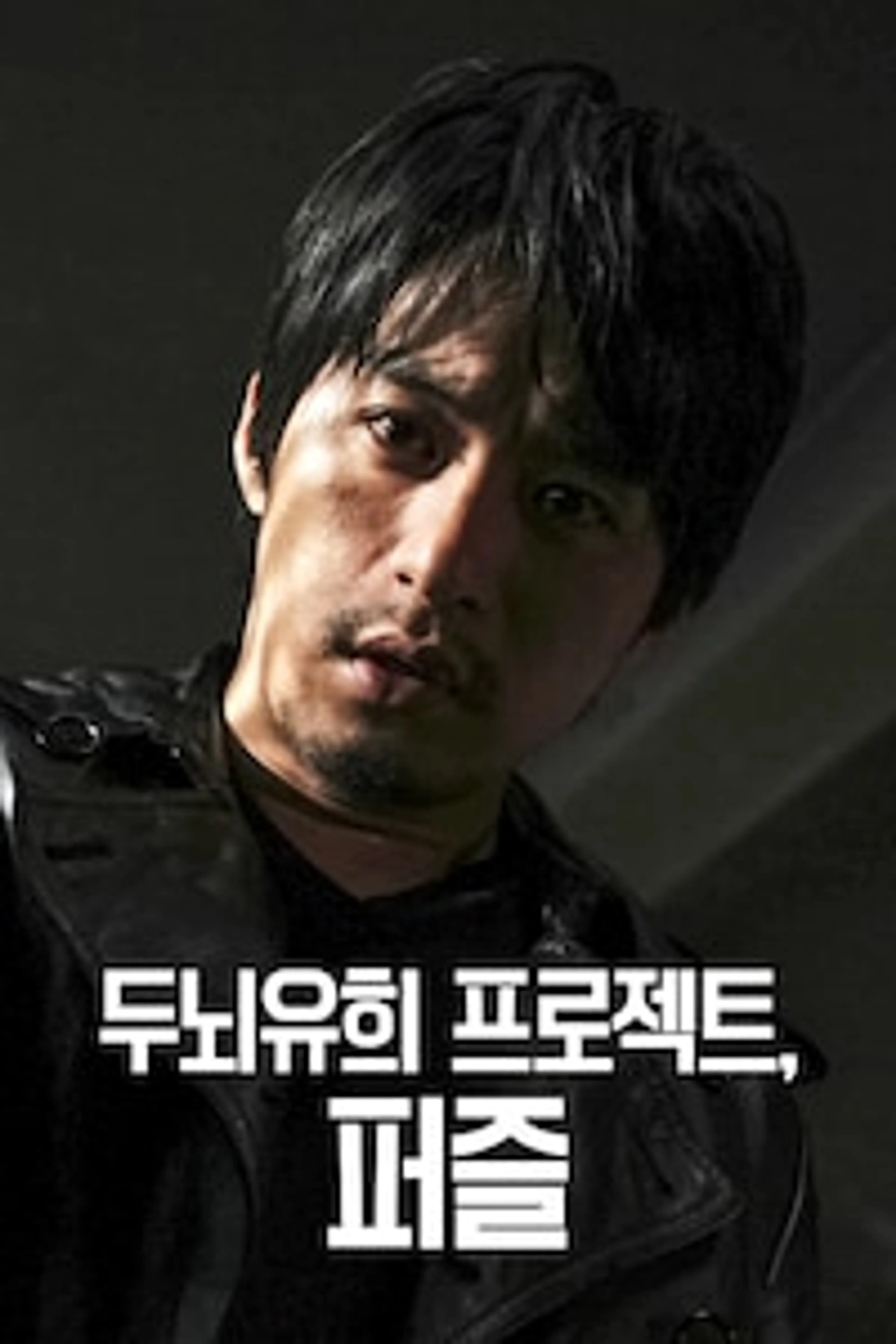 두뇌유희 프로젝트, 퍼즐