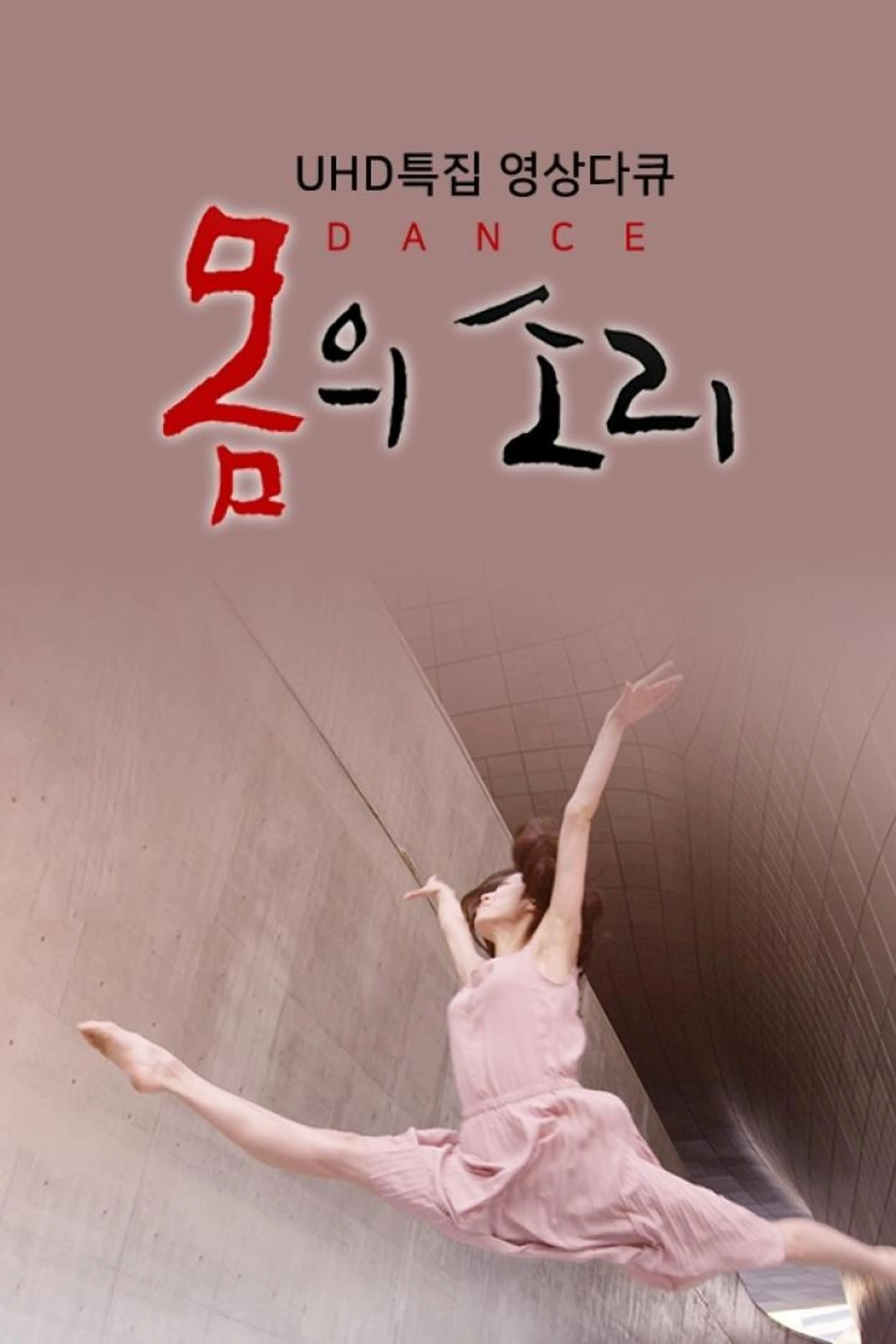 UHD 특집 영상다큐 몸의 소리