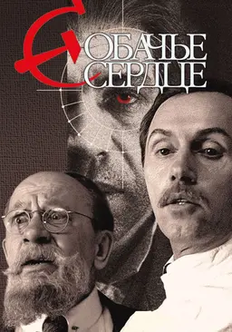 개의 심장