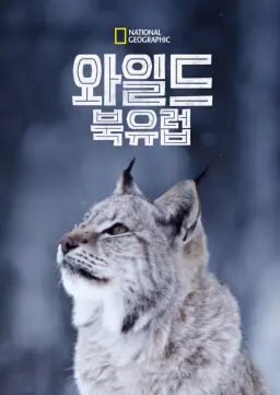 와일드 북유럽