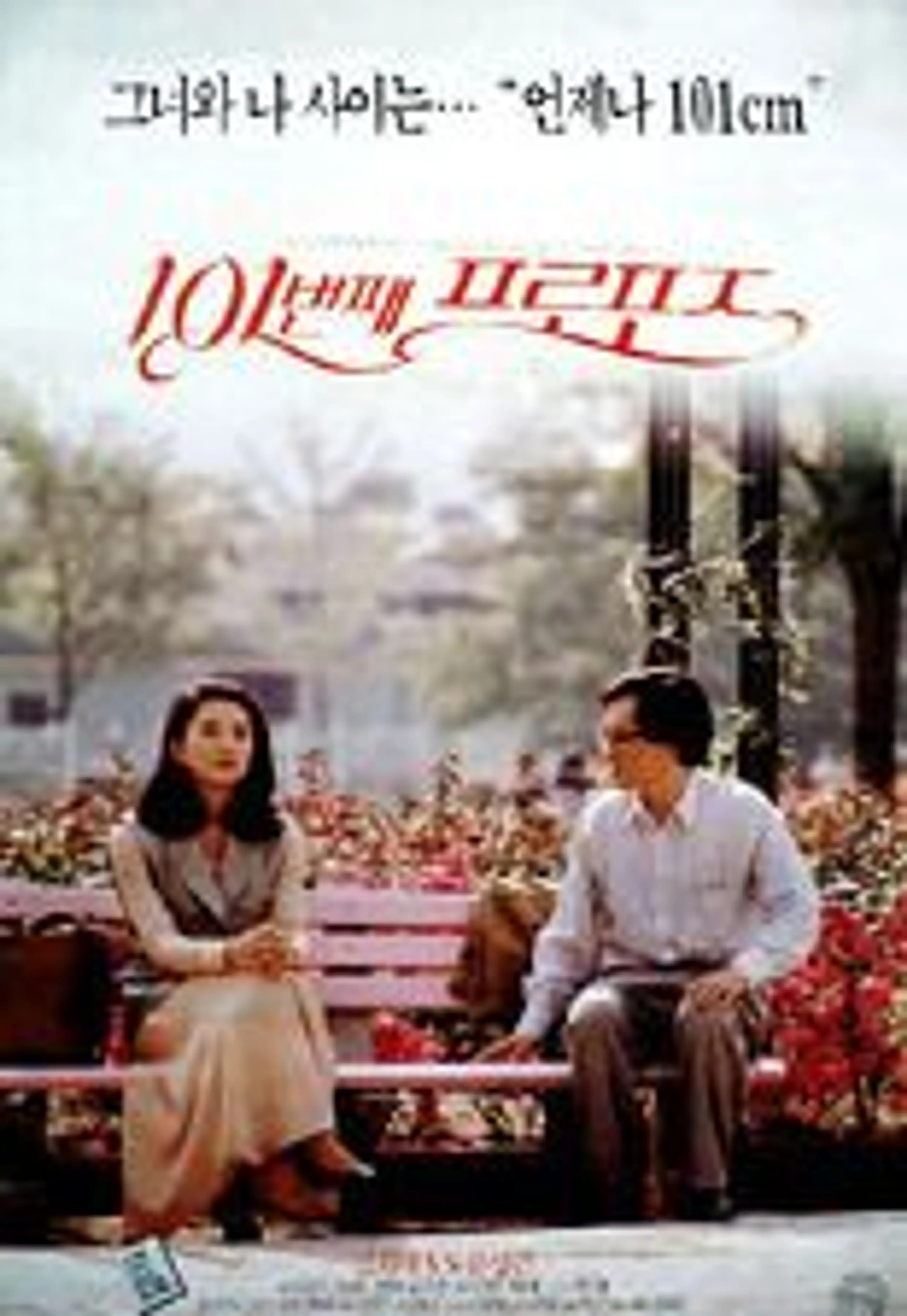 101번째 프로포즈