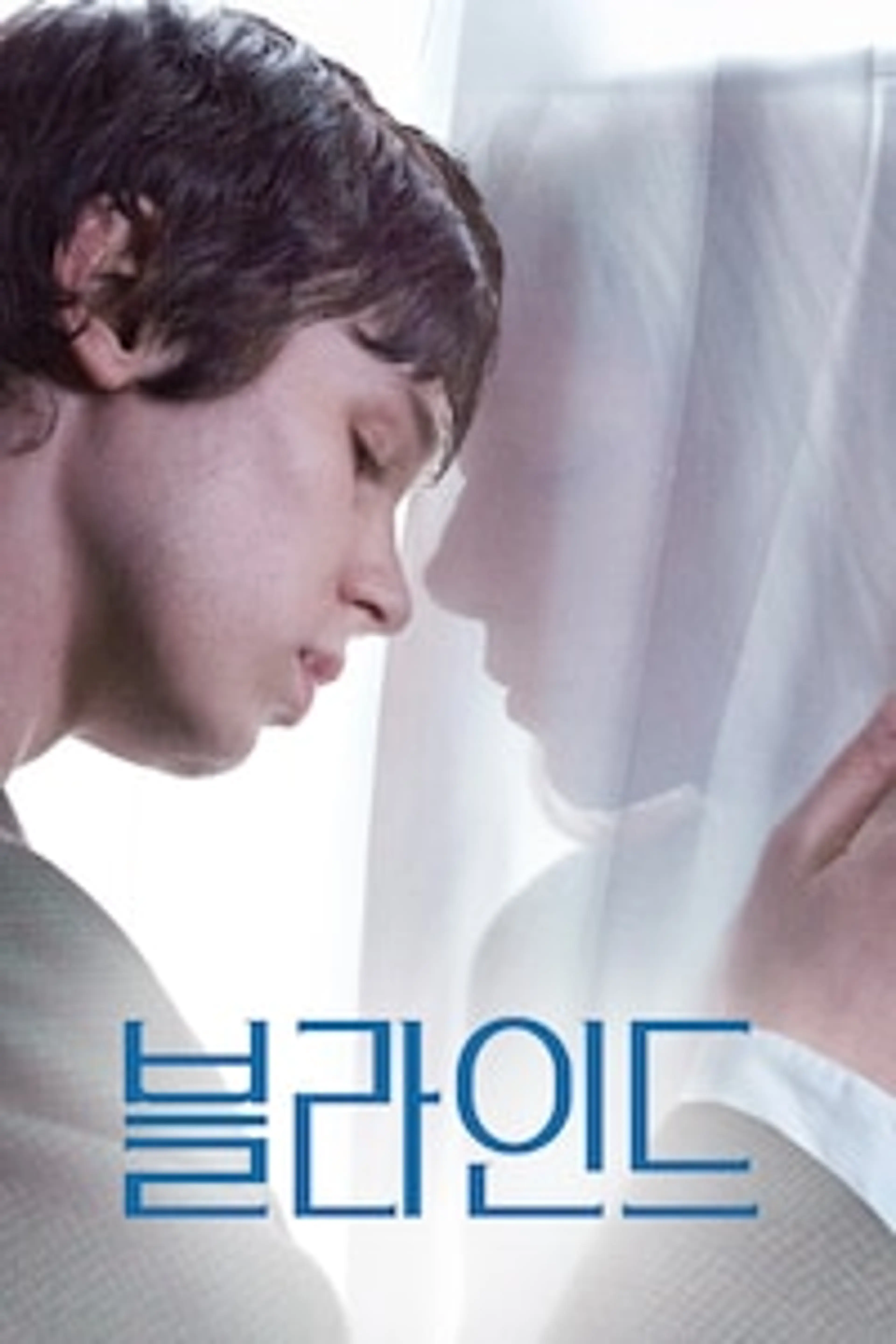 블라인드