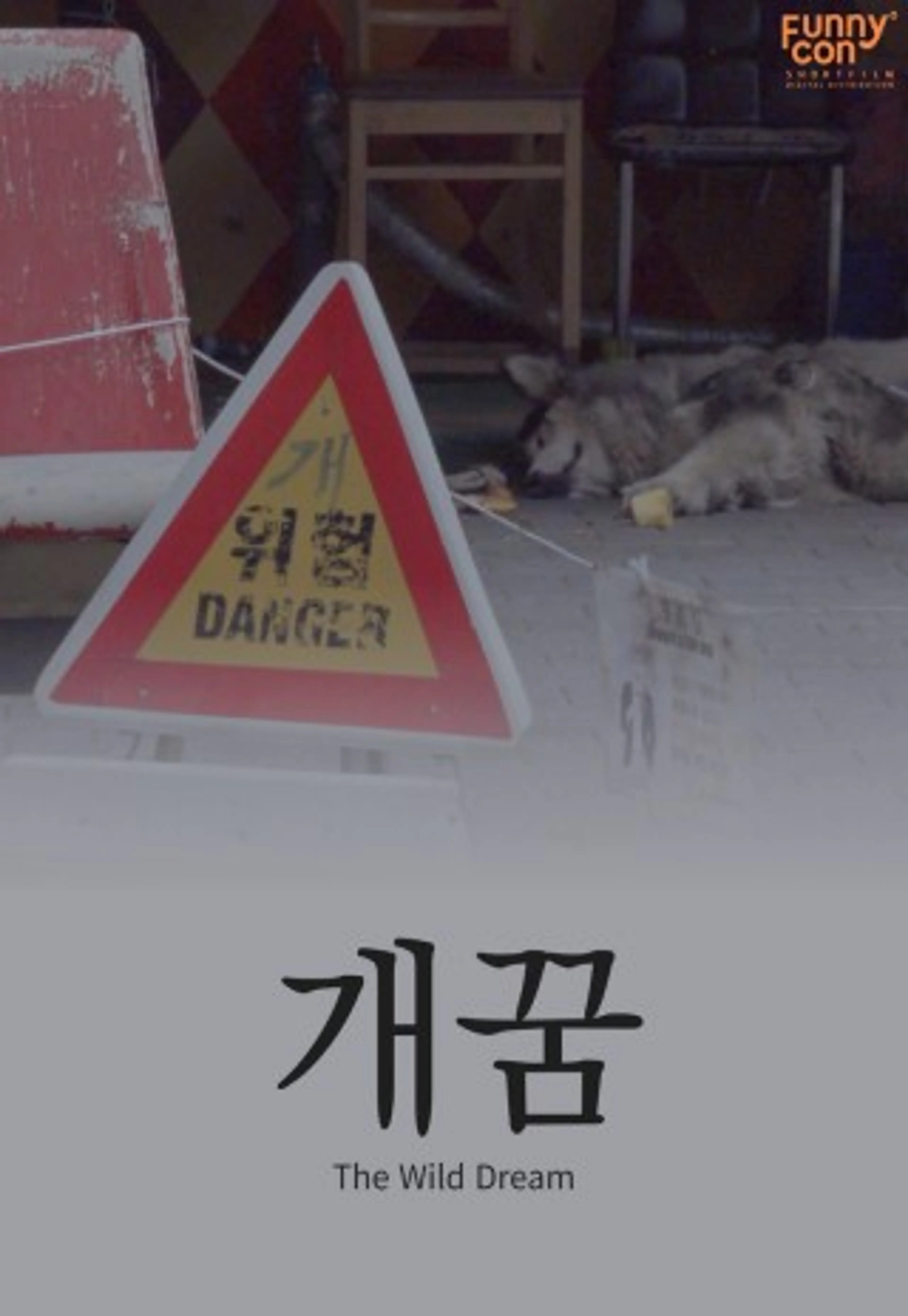 개꿈
