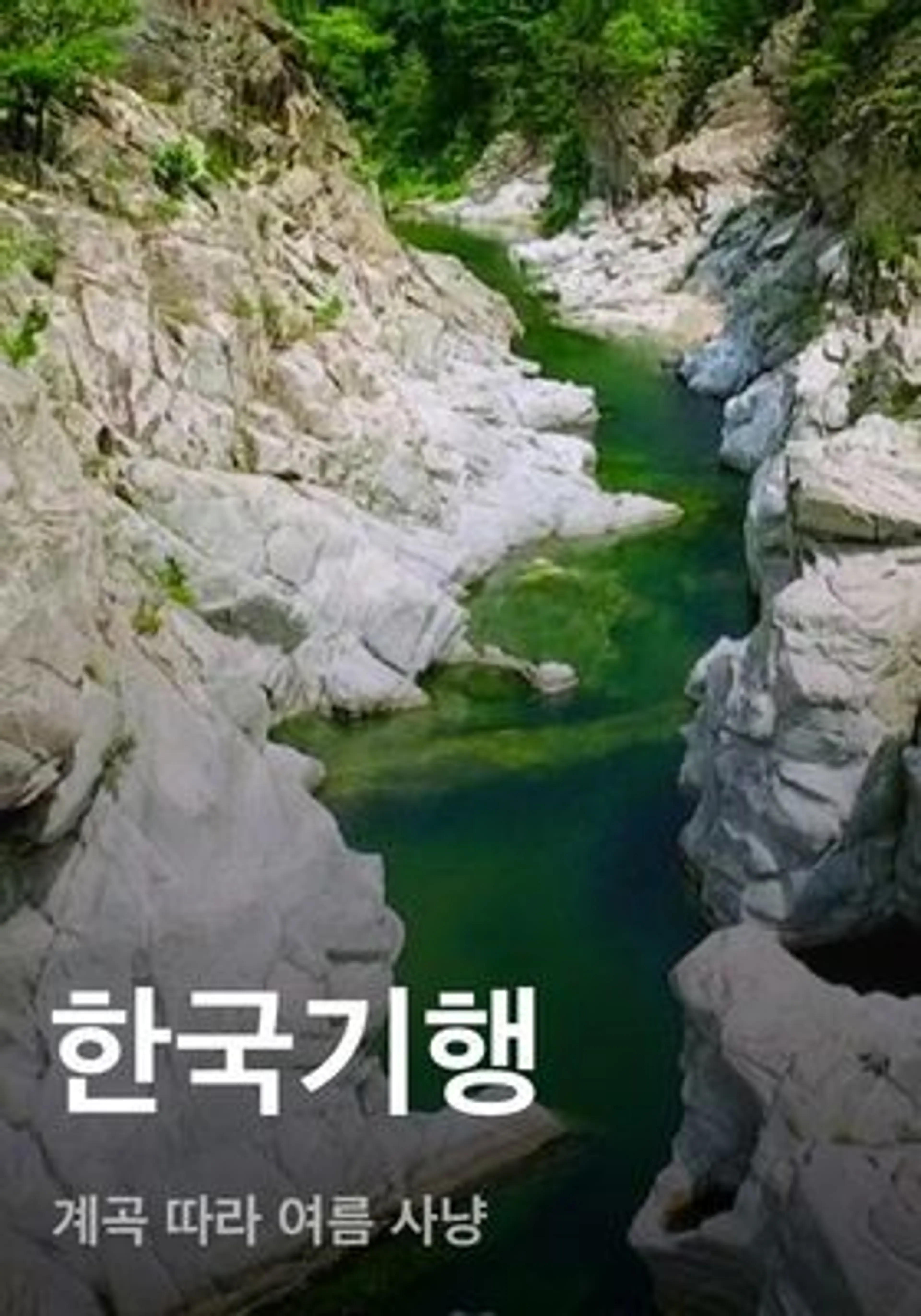 한국기행 - 계곡 따라 여름 사냥