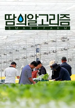 땀의 알고리즘 스마트팜
