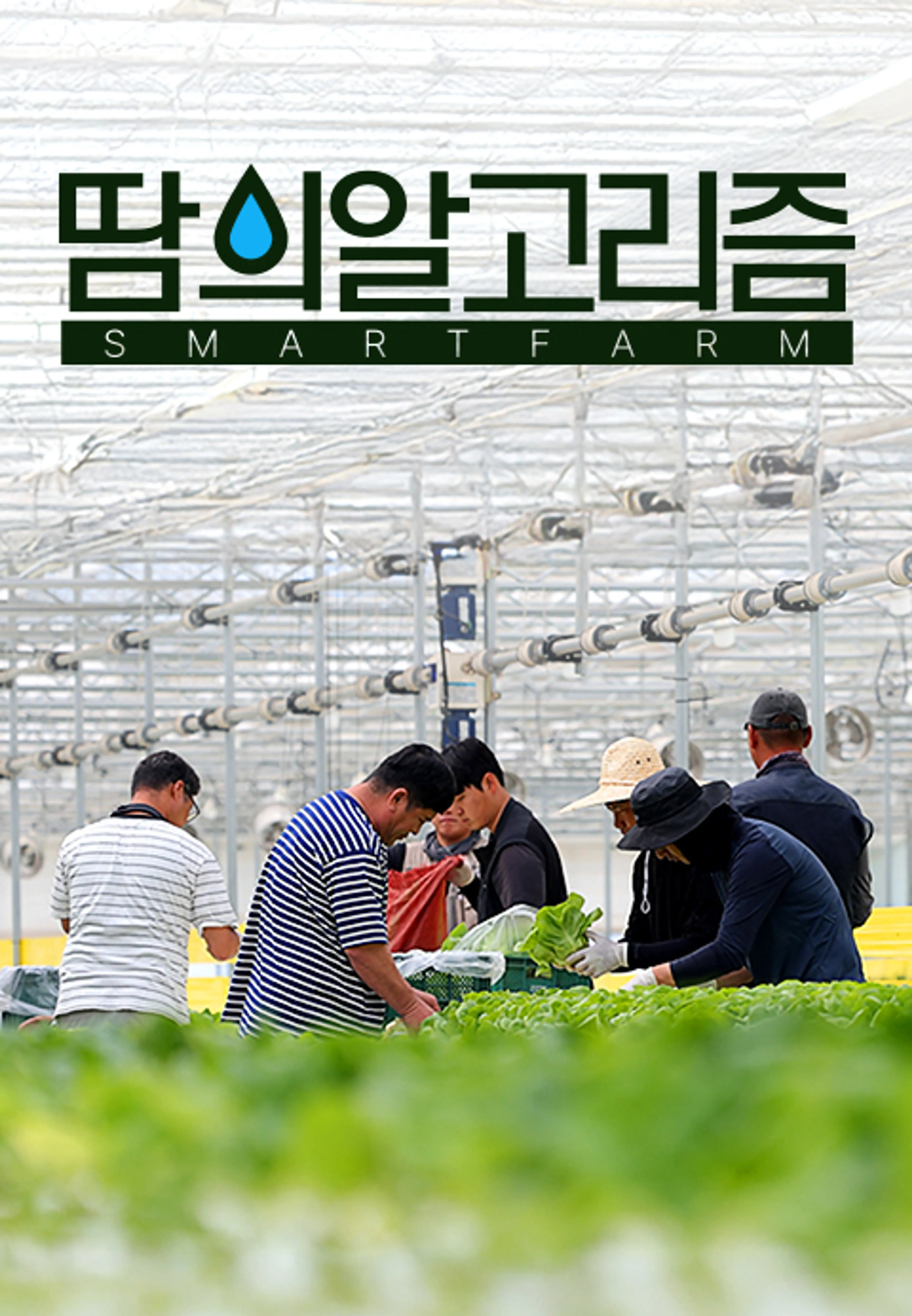 땀의 알고리즘 스마트팜