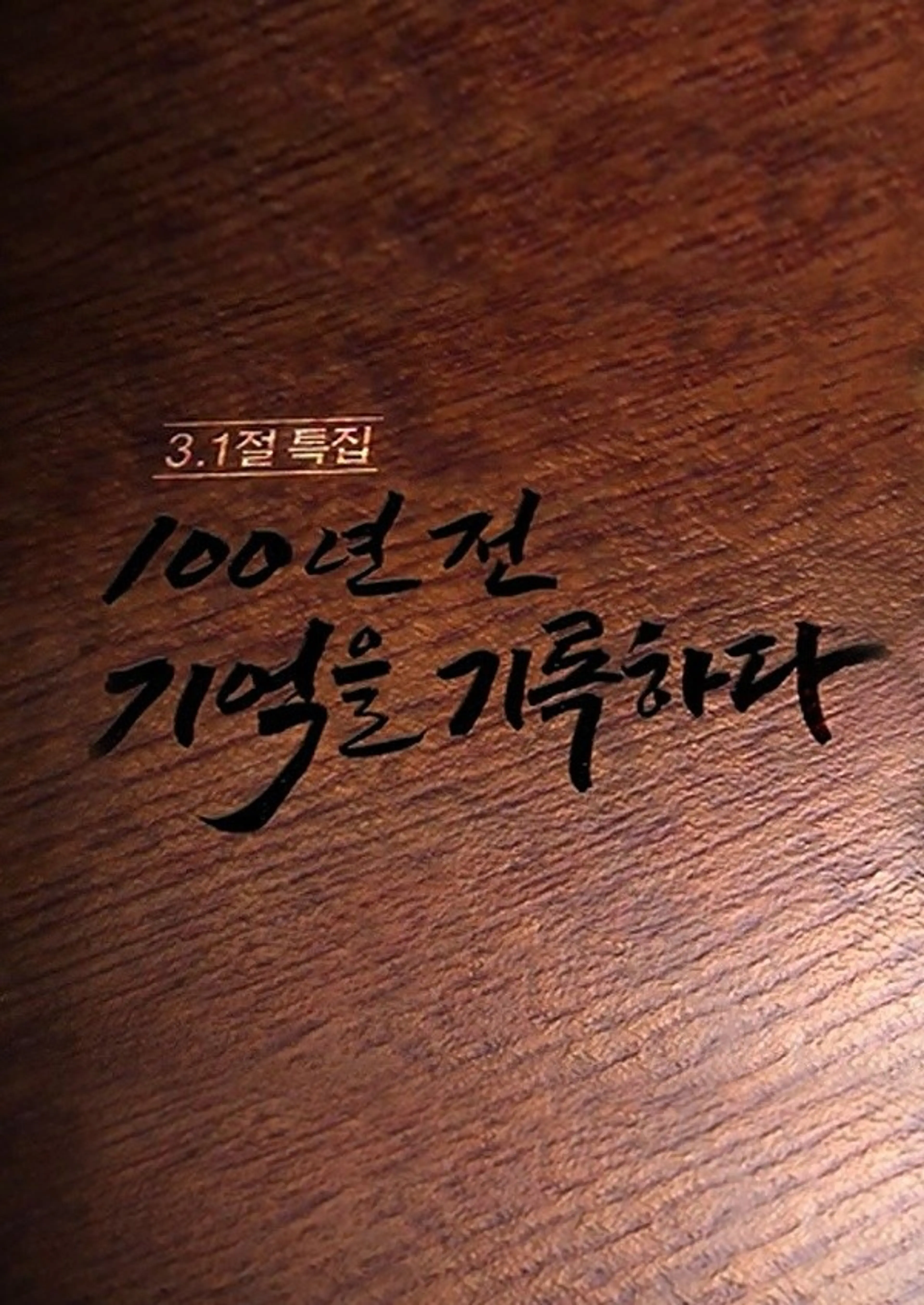 3.1특집 다큐멘터리 100년 전 기억을 기록하다