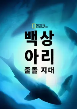 백상아리 출몰 지대