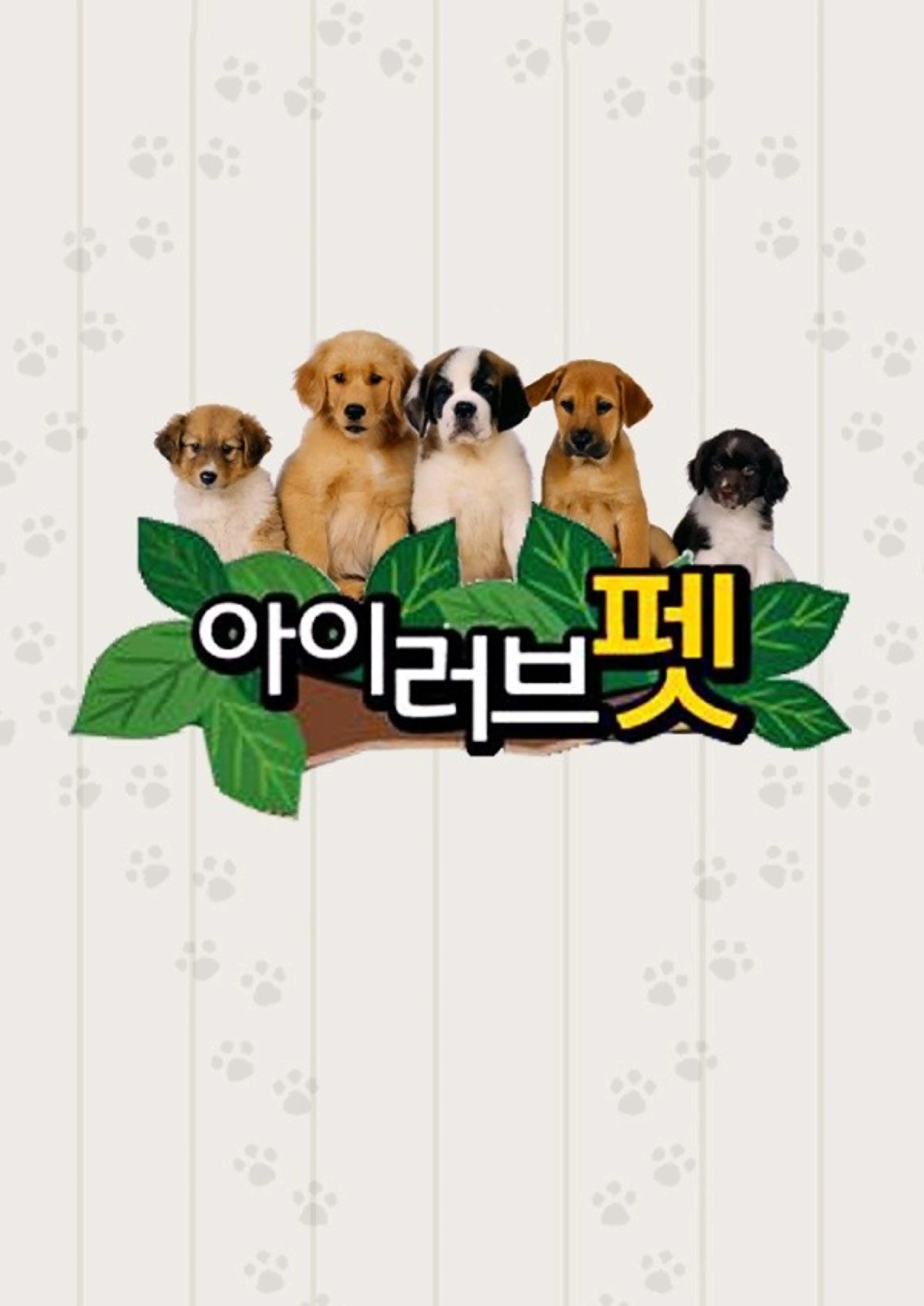 아이러브펫