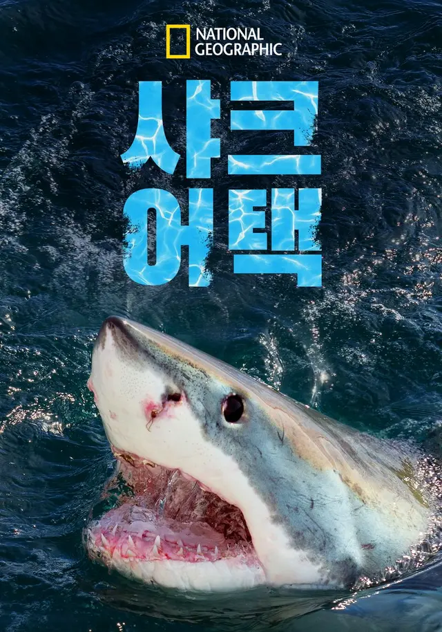 샤크 어택 시즌 1
