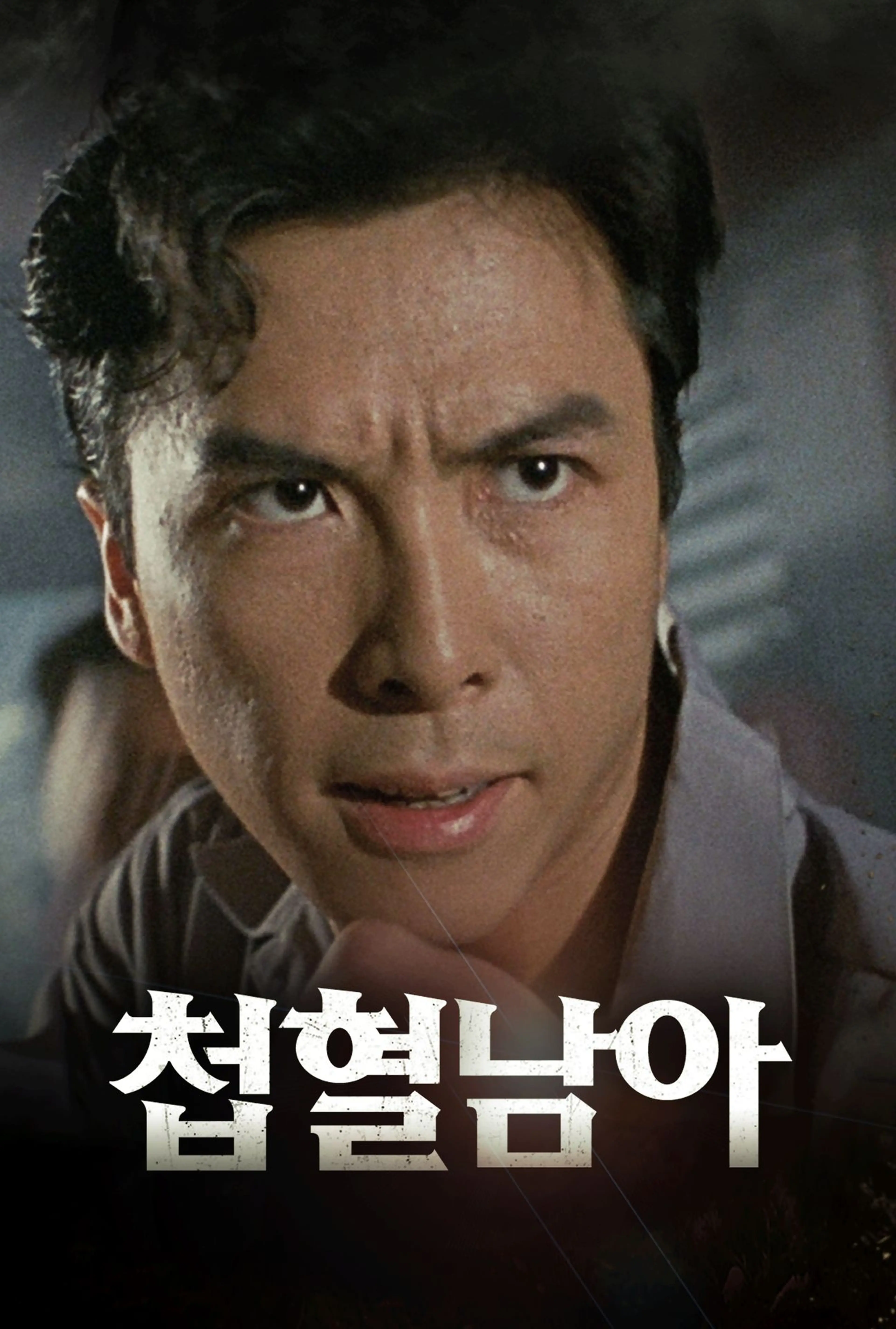 첩혈남아