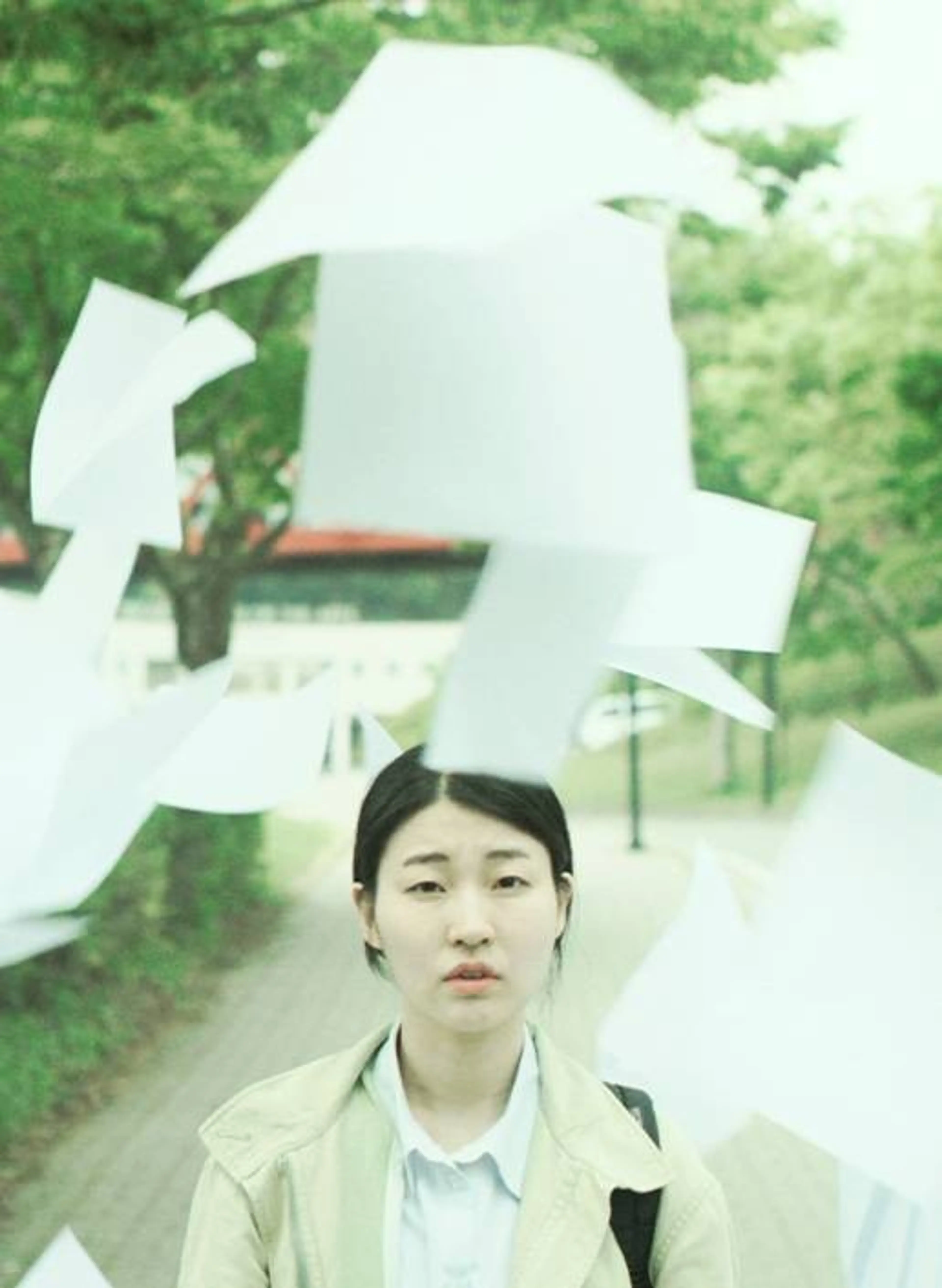 보라