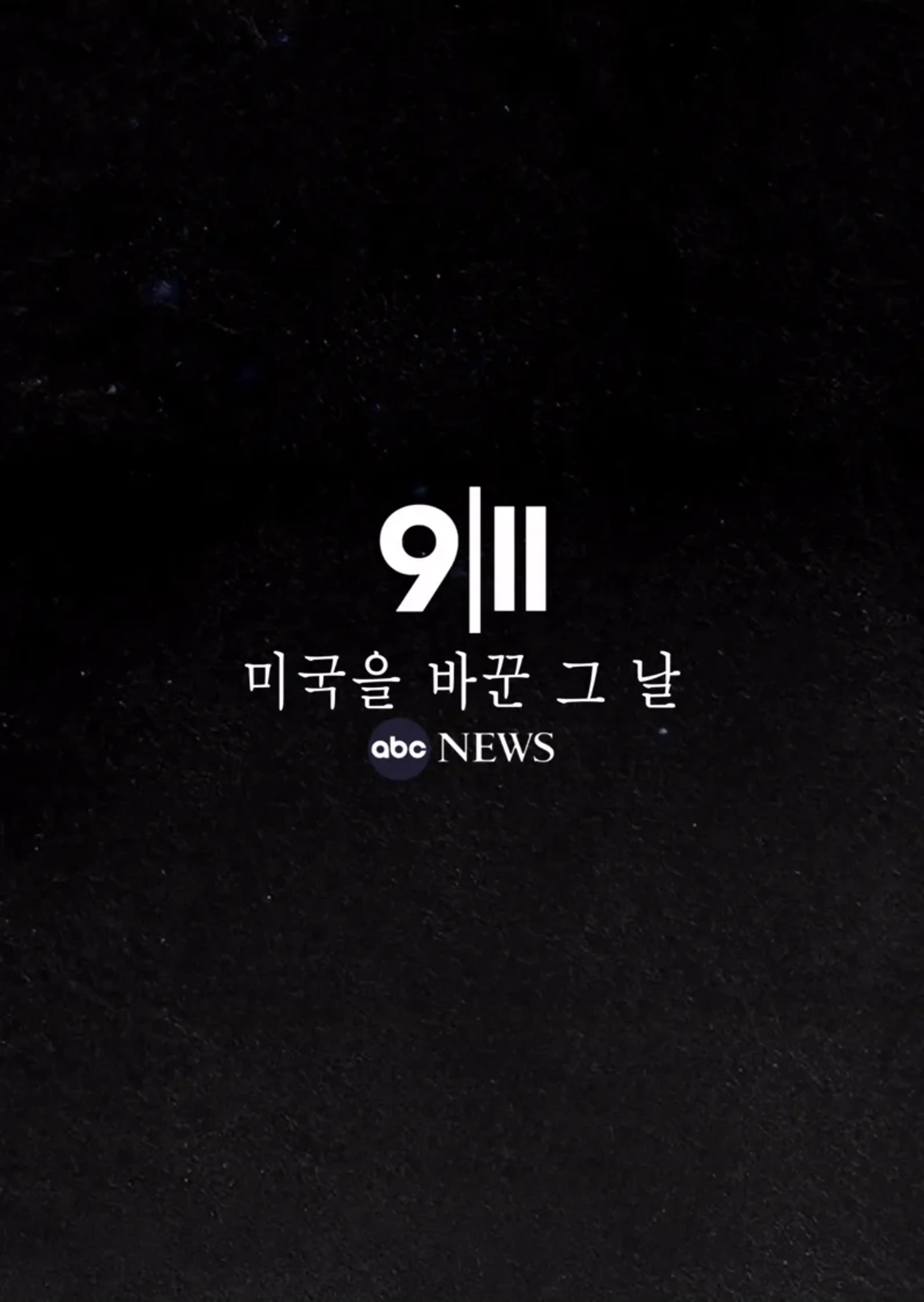 9/11: 미국을 바꾼 그 날