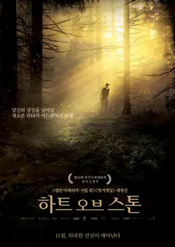 하트 오브 스톤