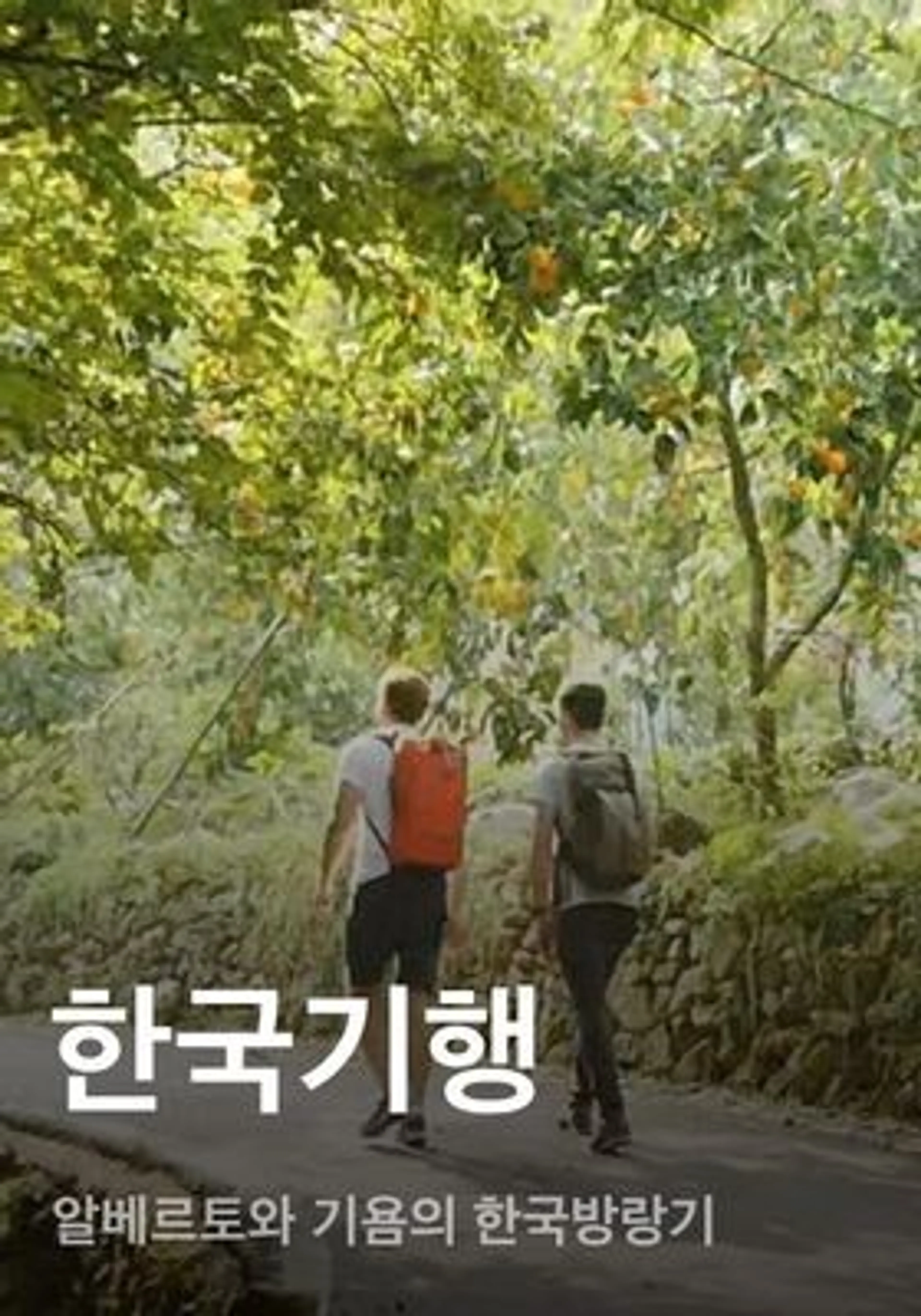한국기행 - 알베르토와 기욤의 한국방랑기