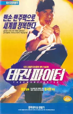 태권 파이터