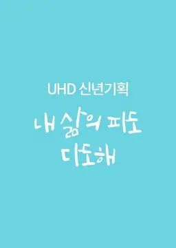 UHD 신년기획 내 삶의 파도 다도해