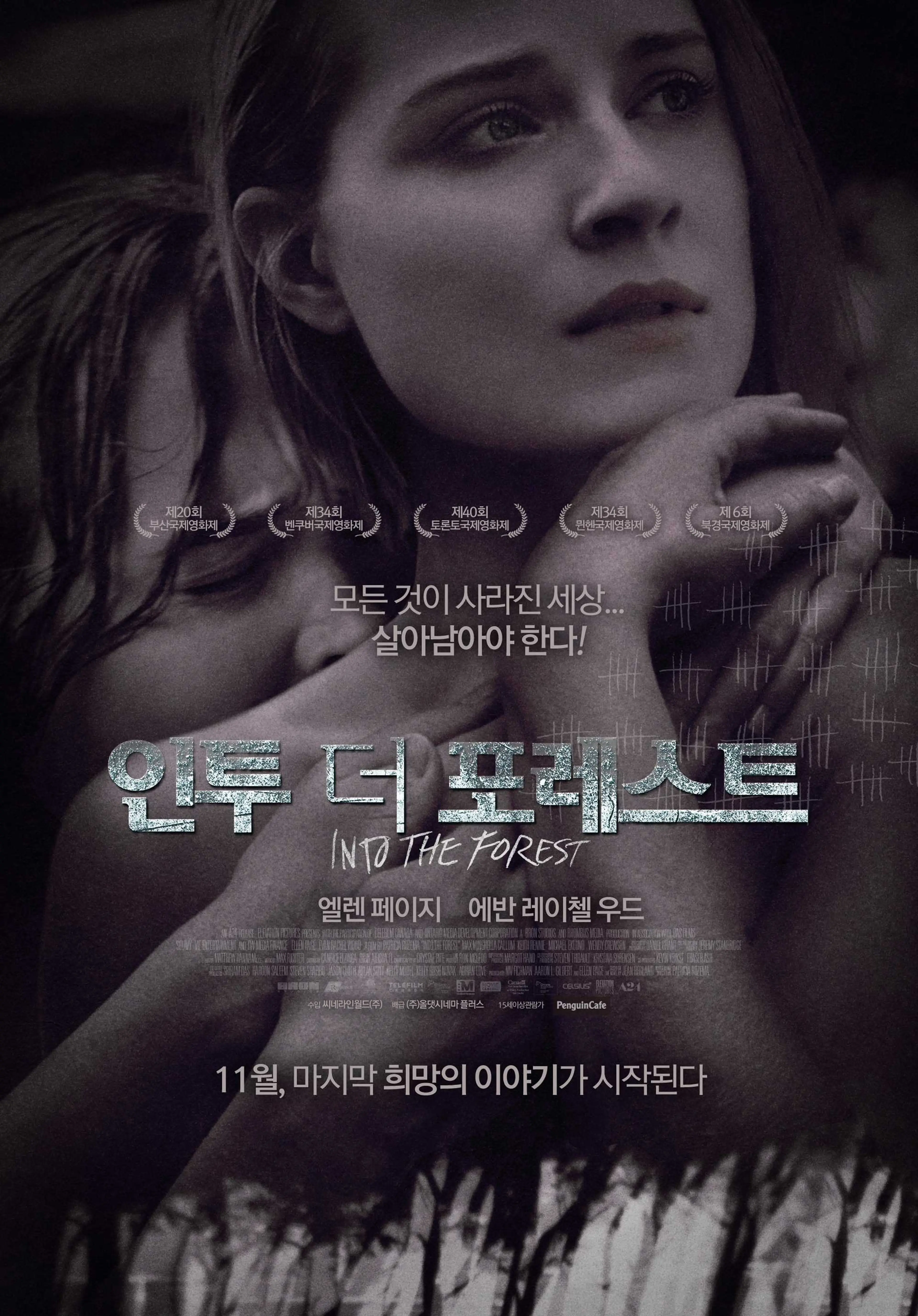 인투 더 포레스트