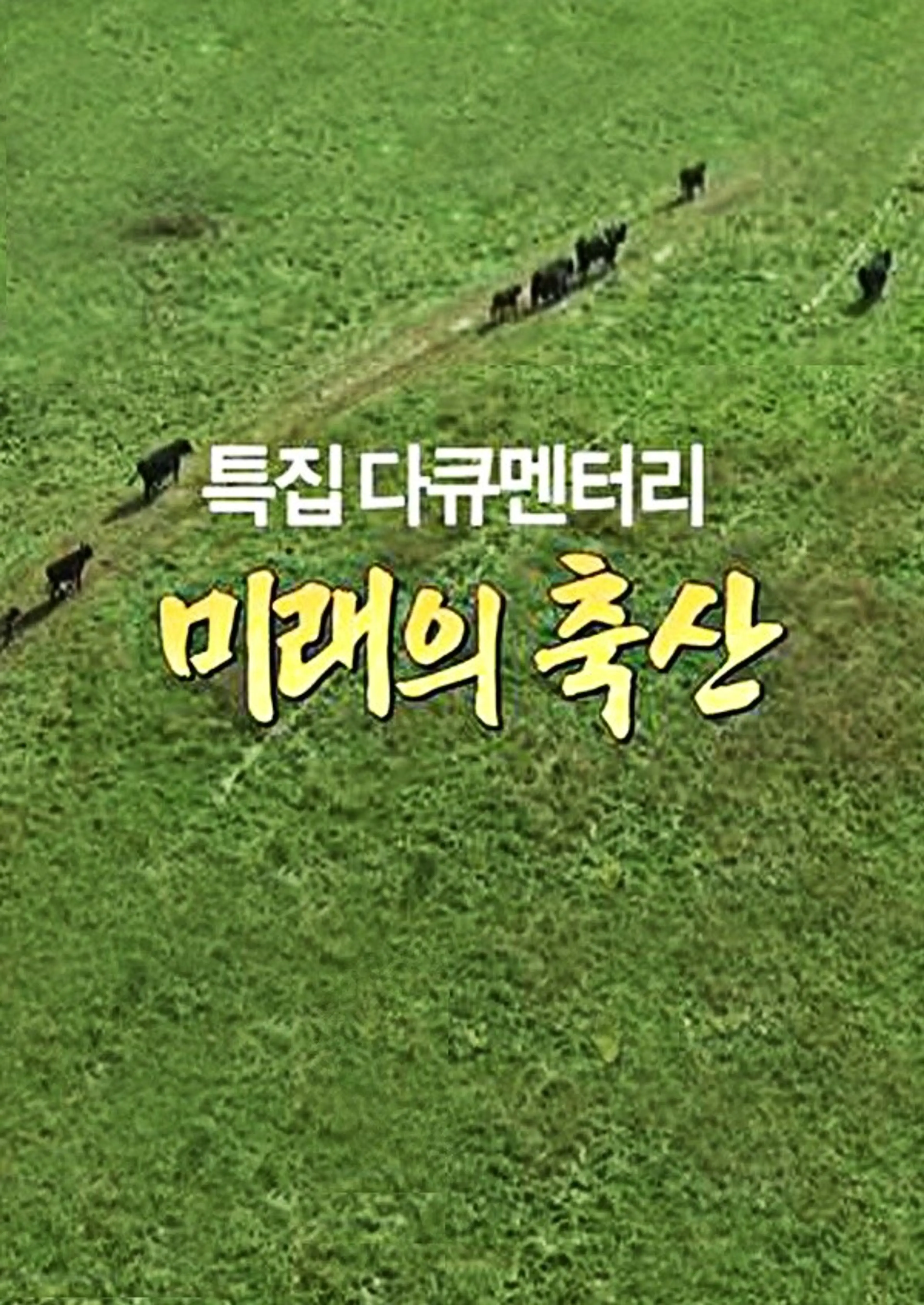 미래의 축산