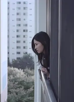 시선
