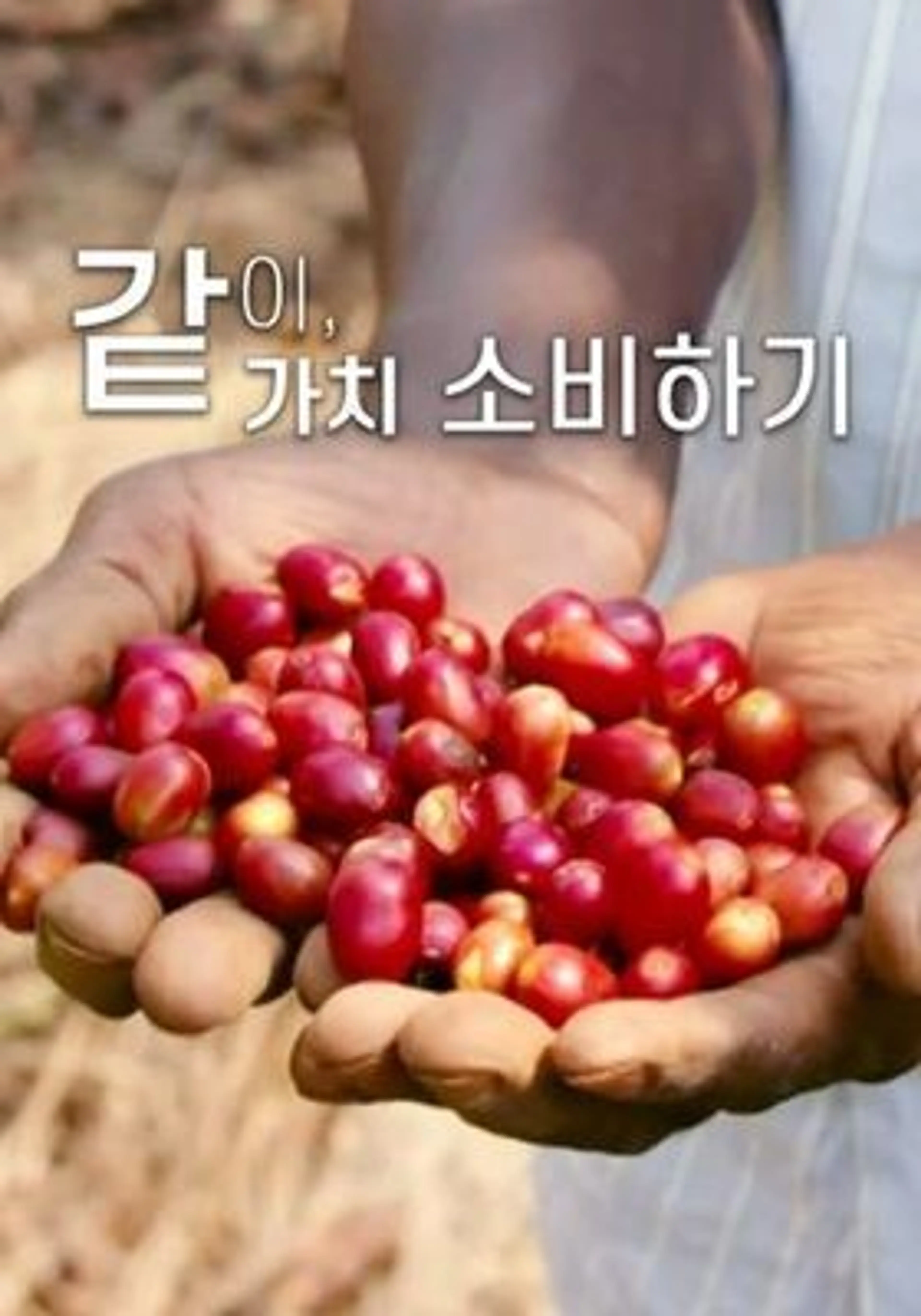 같이, 가치 소비하기