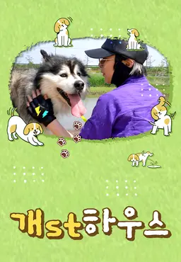 개st하우스