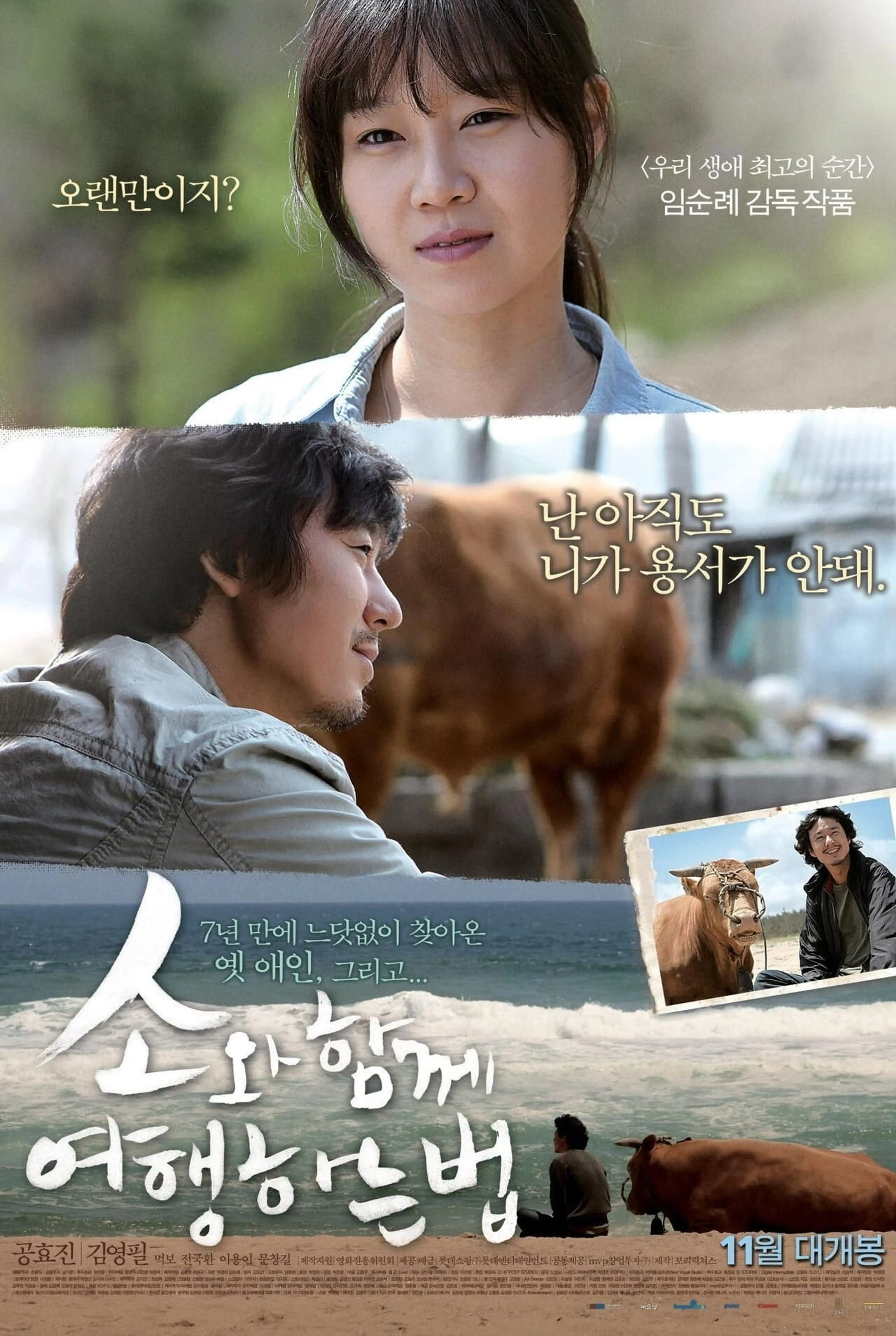 소와 함께 여행하는 법