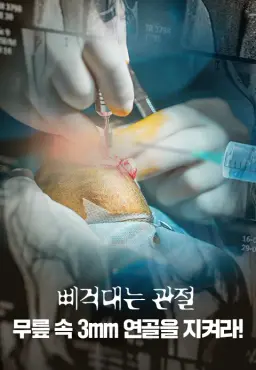 특별기획 삐걱대는 관절, 무릎 속 3mm 연골을 지켜라