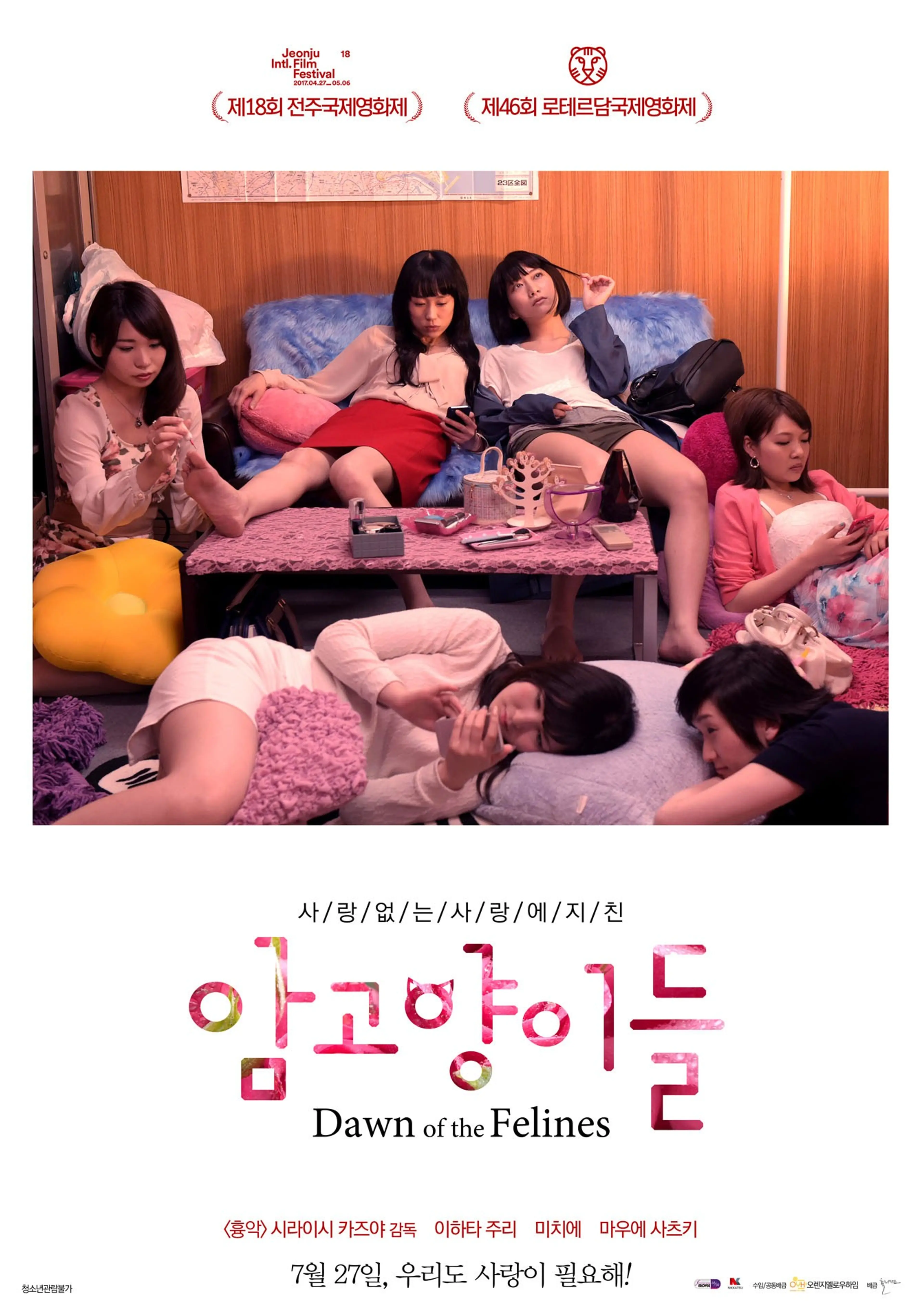 암고양이들