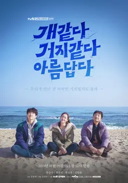 개 같다 거지 같다 아름답다