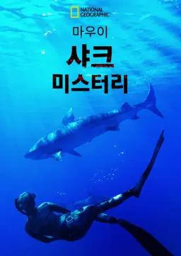 마우이 샤크 미스터리