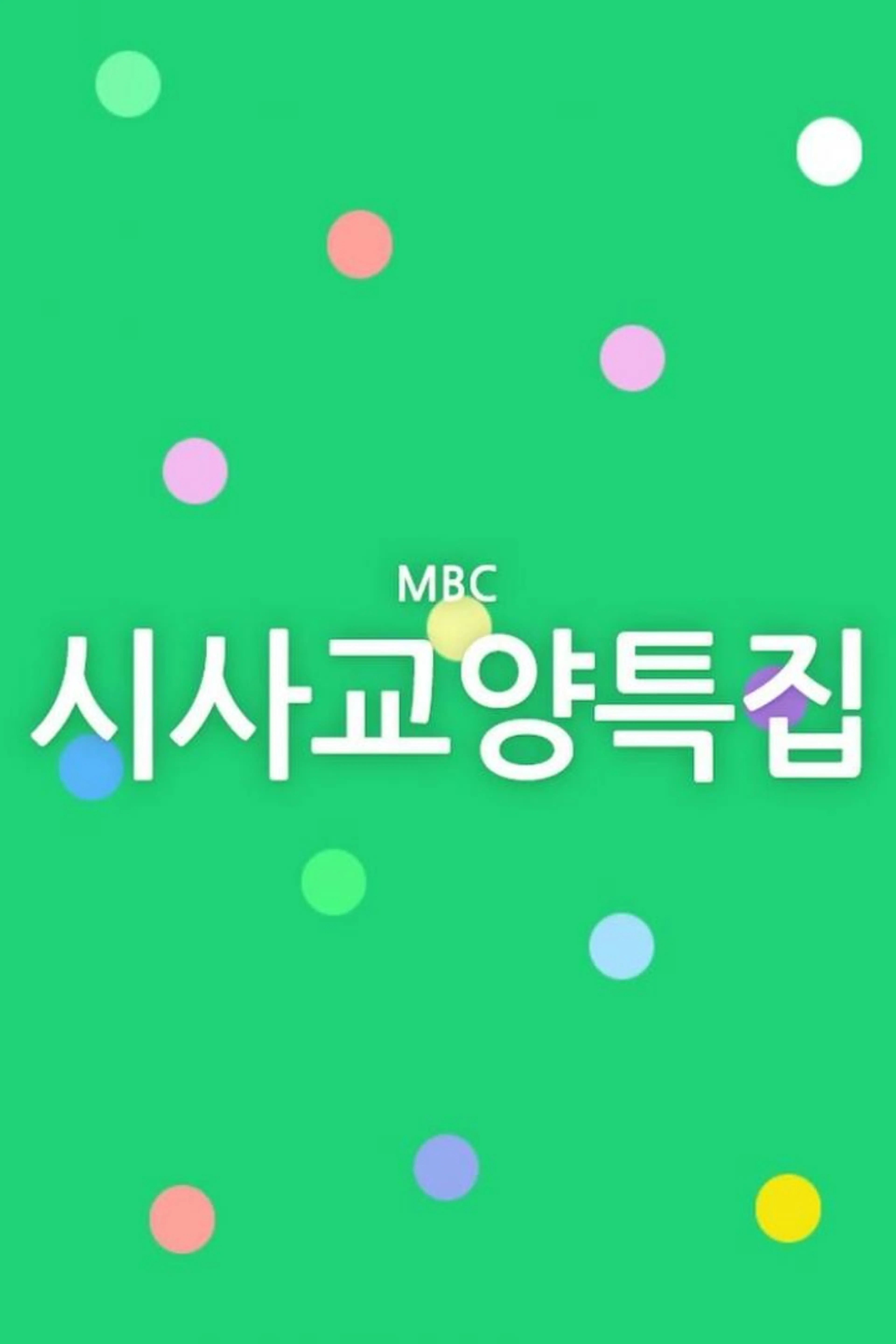 시사교양 특집