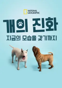 개의 진화: 지금의 모습을 갖기까지