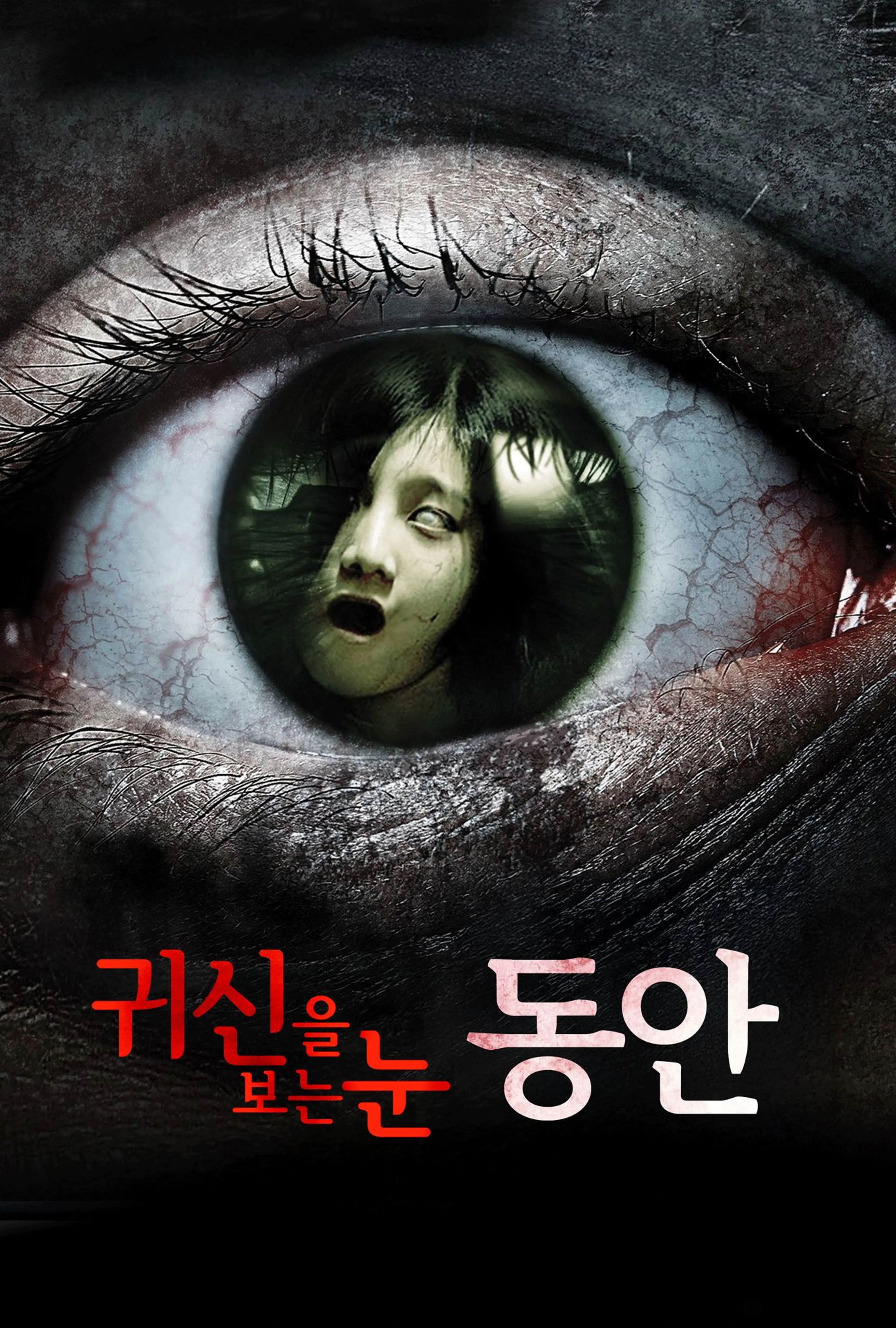 귀신을 보는 눈- 동안