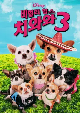 비벌리 힐스 치와와 3
