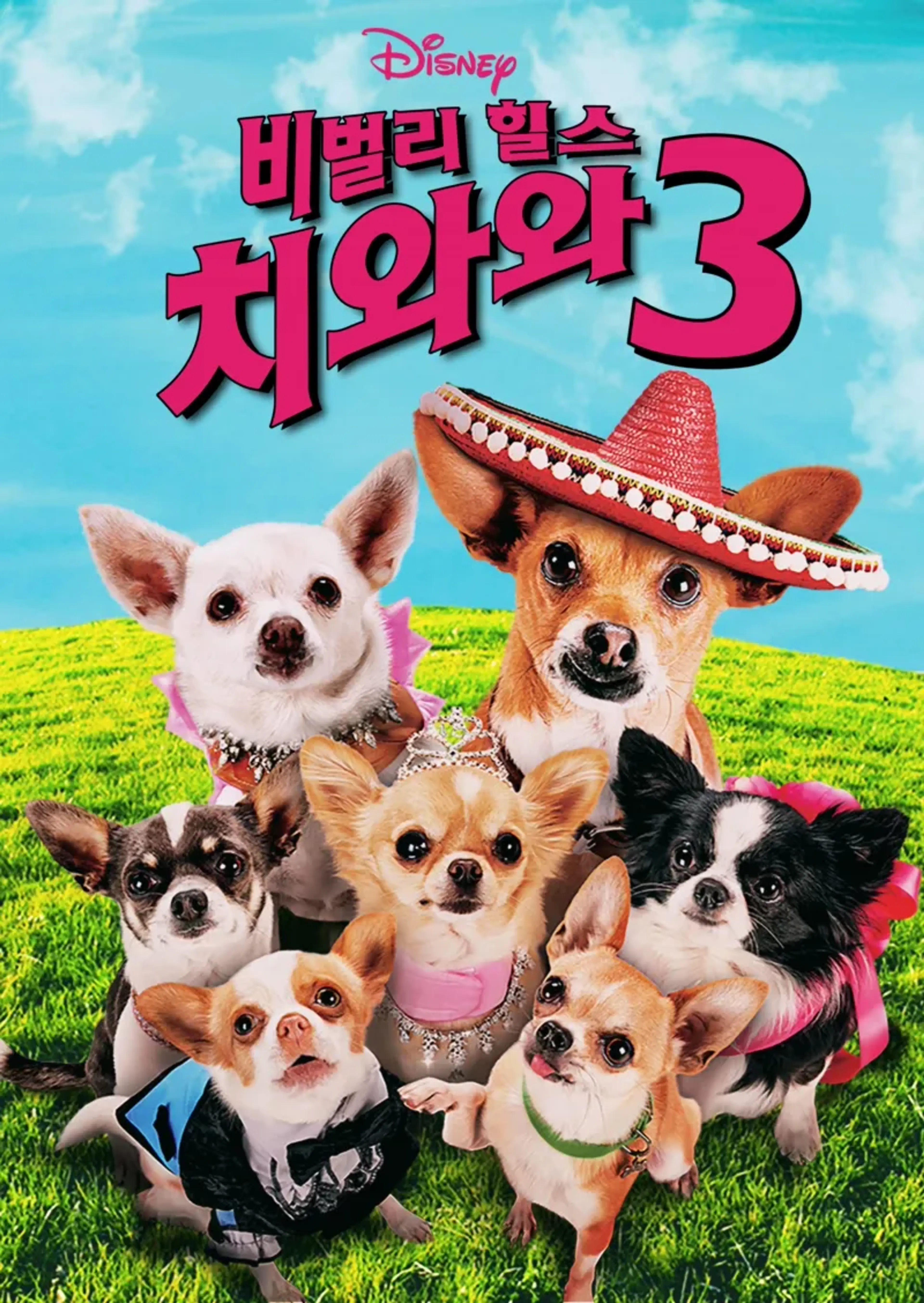 비벌리 힐스 치와와 3