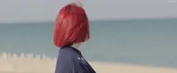 장미
