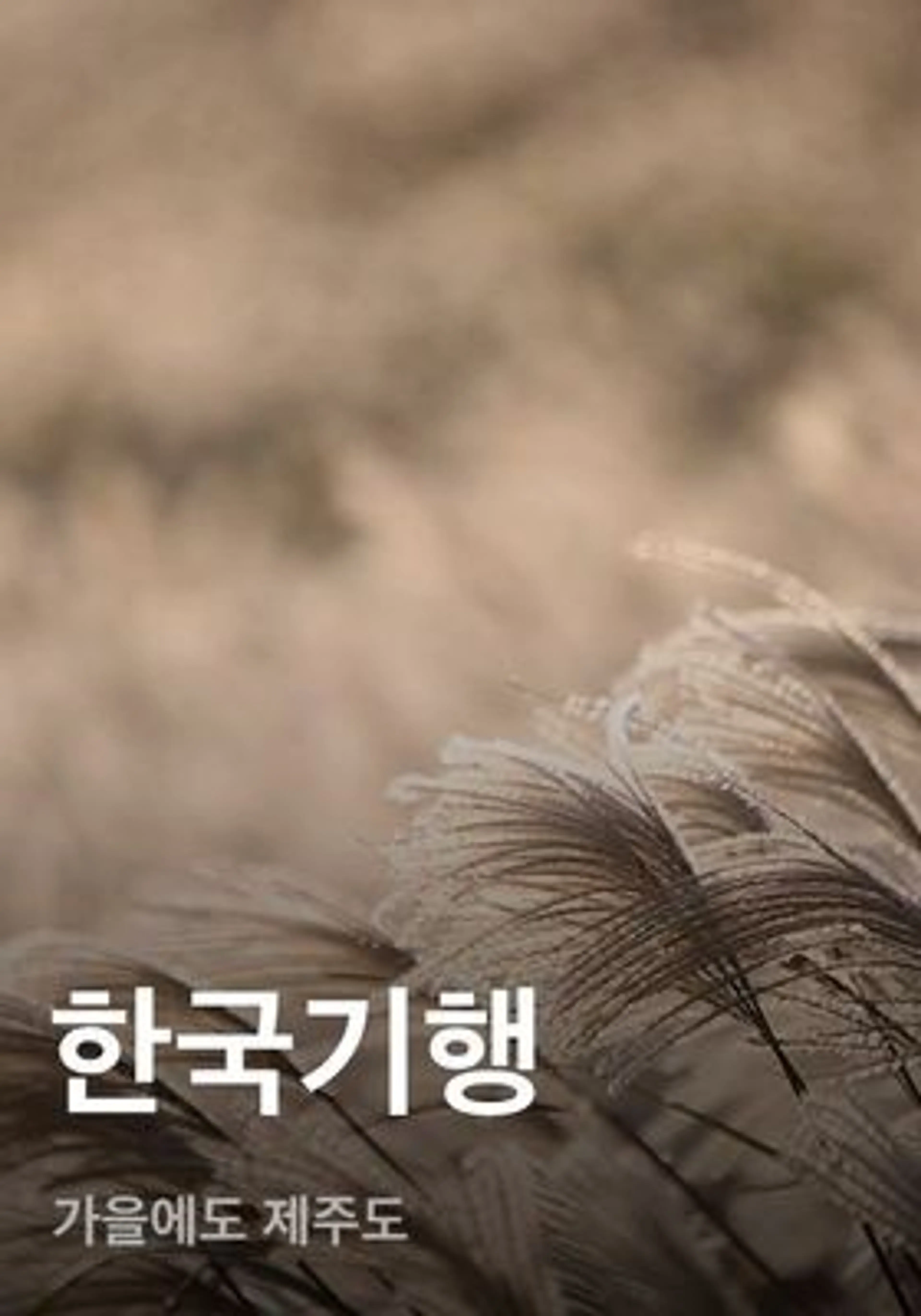 한국기행 - 가을에도 제주도