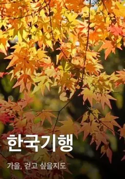 한국기행 - 가을, 걷고 싶을지도