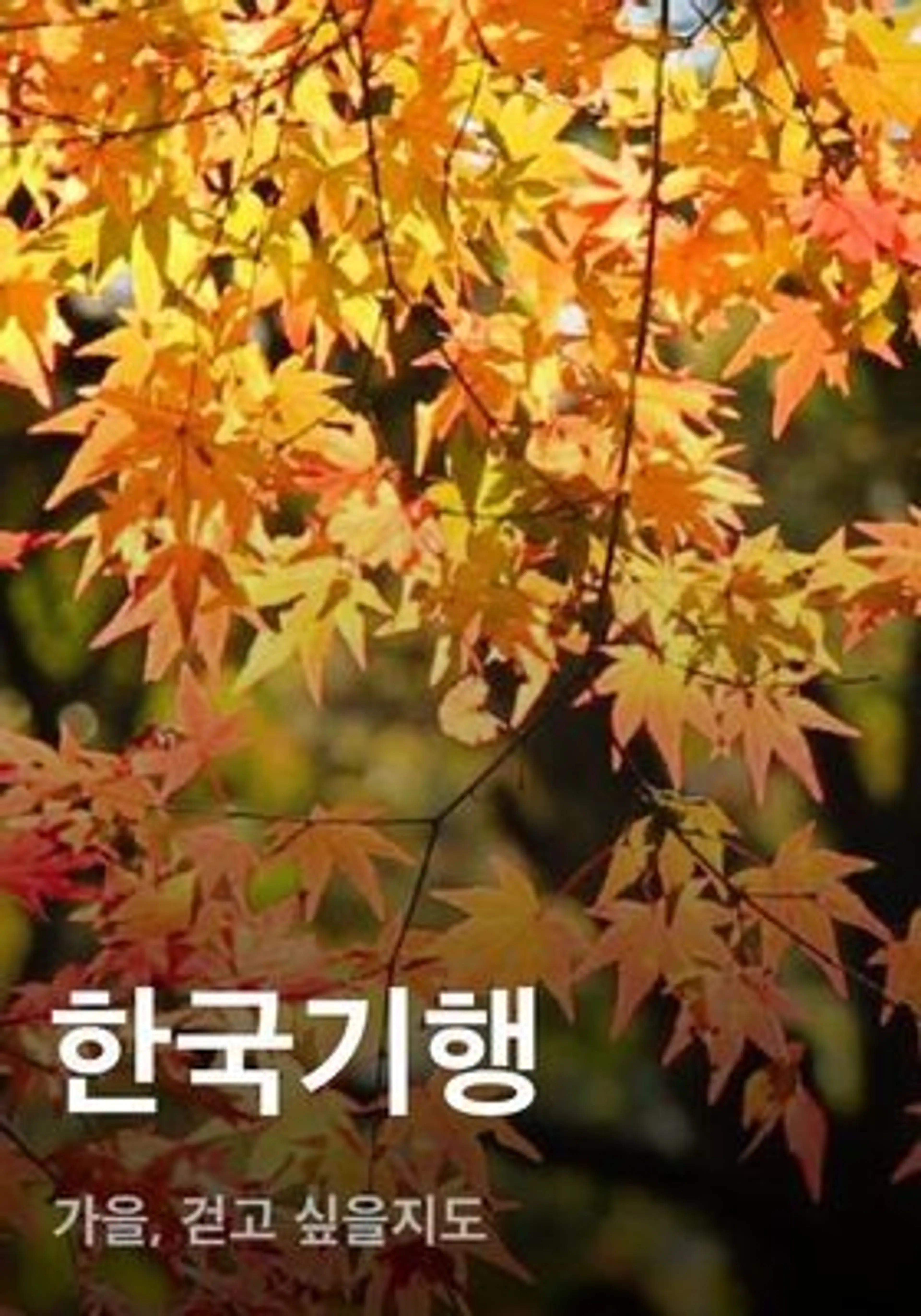 한국기행 - 가을, 걷고 싶을지도