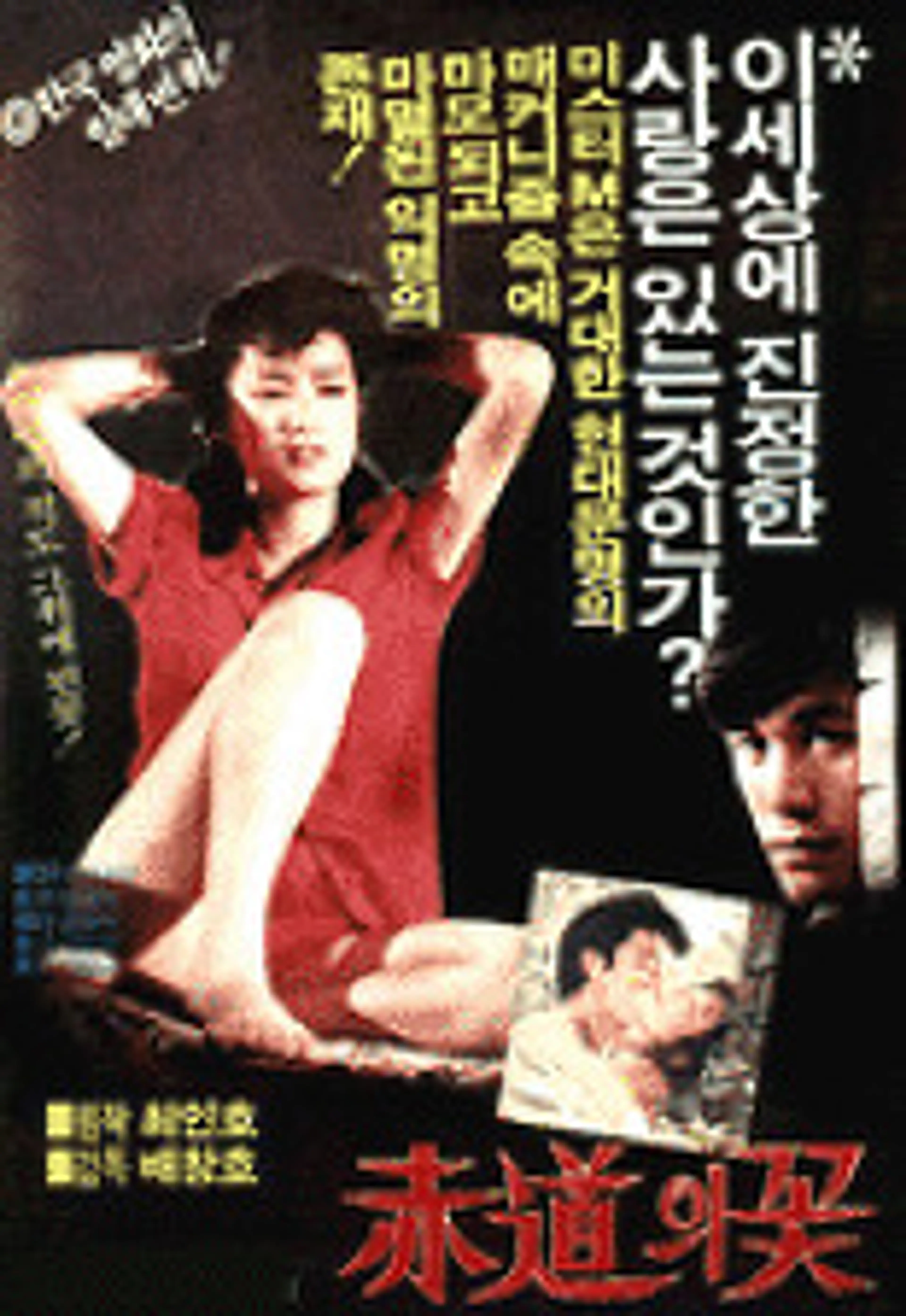 적도의 꽃