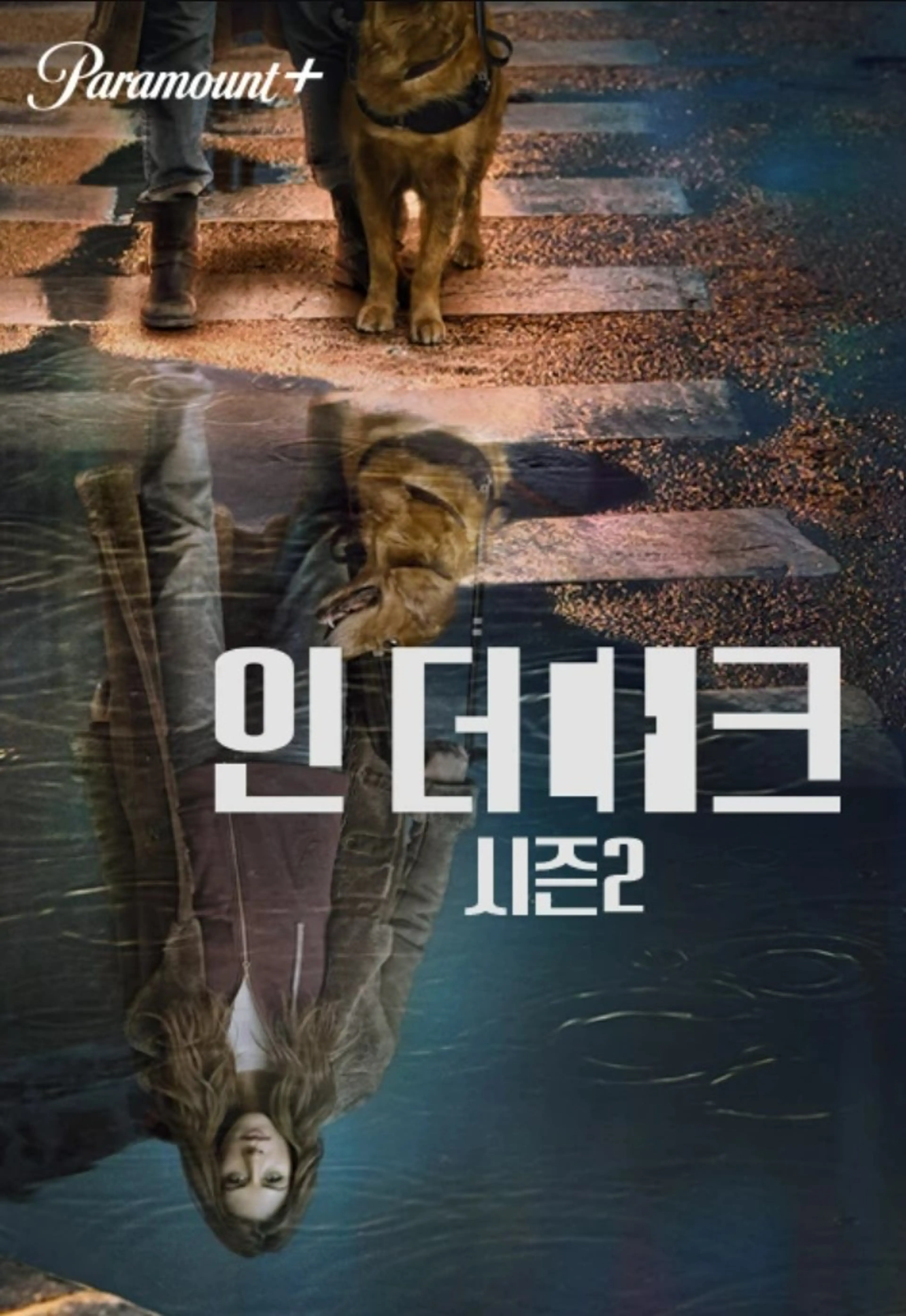 인 더 다크 시즌2