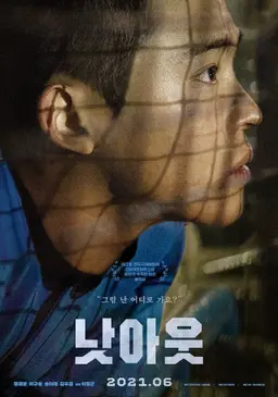 낫아웃